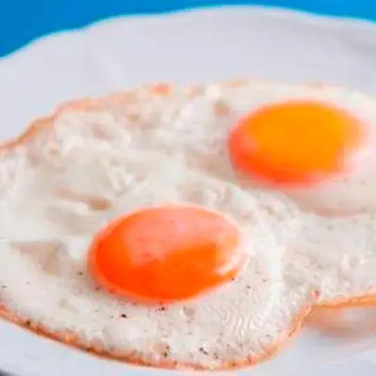 Hotel Plaza Kachigawa Hotel Plaza Kachigawa