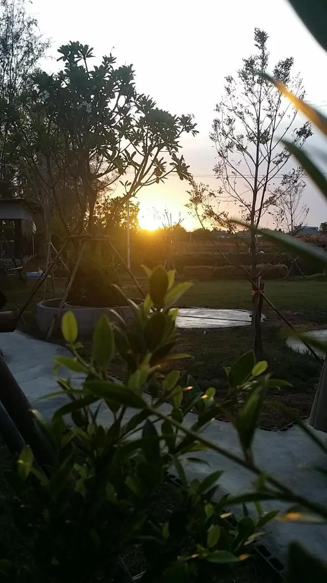 Natural landscape in T'Luck House Resort