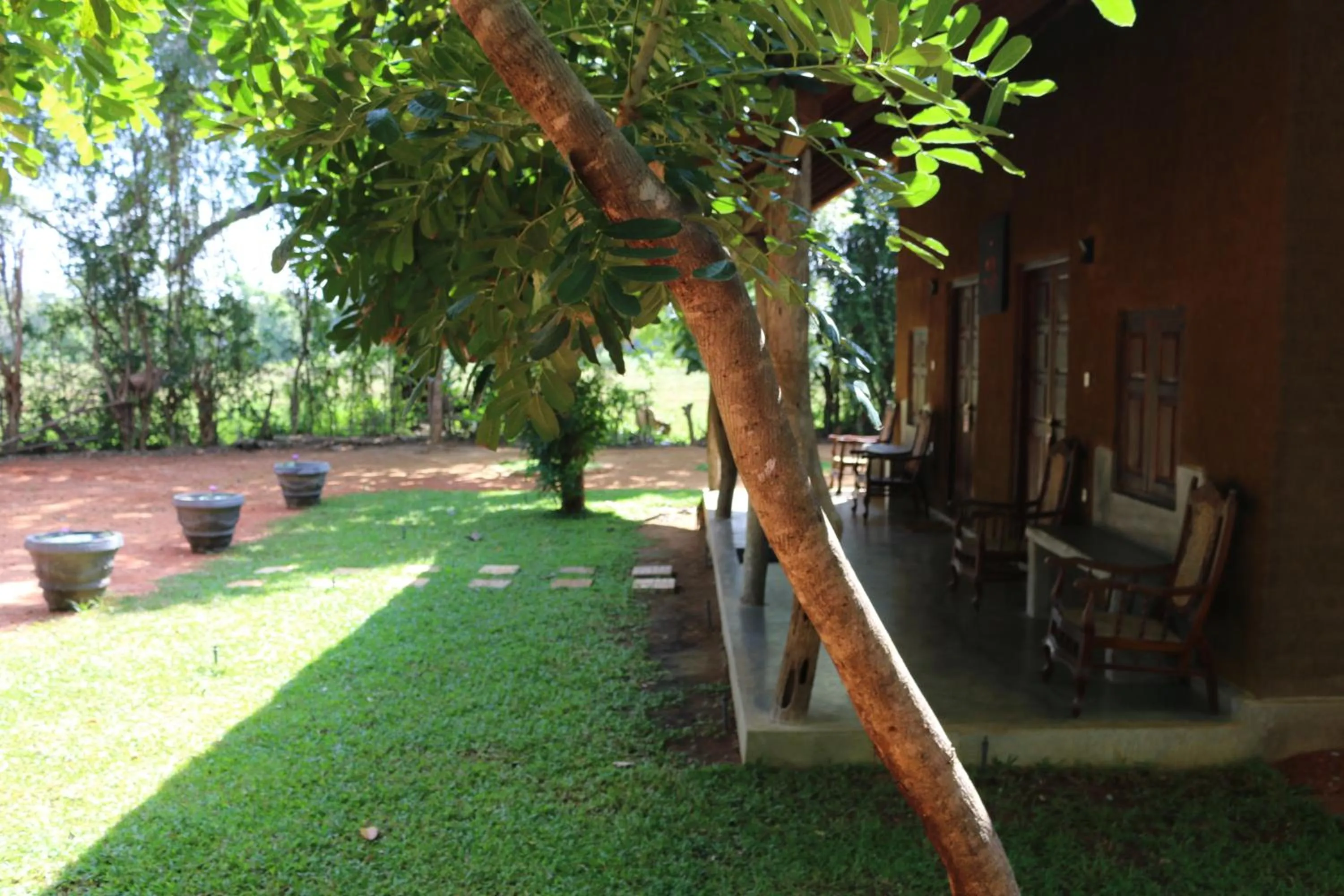 Garden view in Ama Villa - Habarana