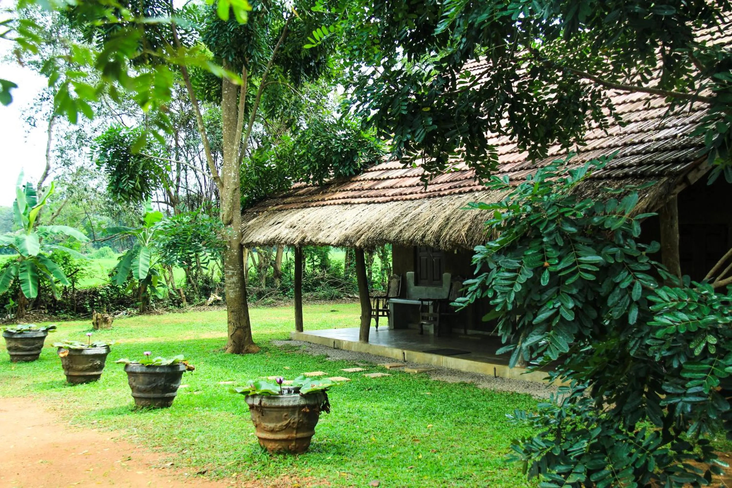 Ama Villa - Habarana