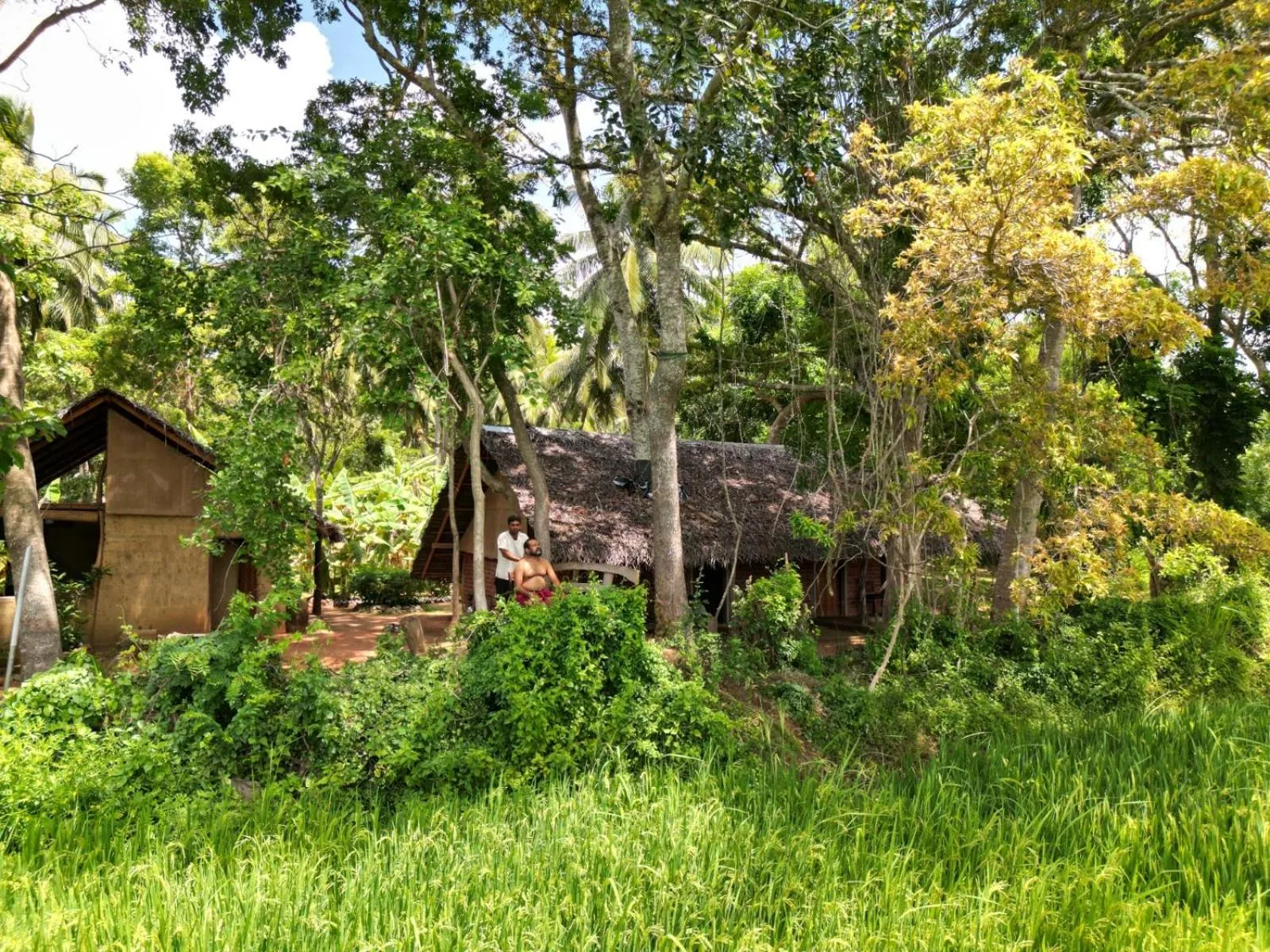 Ama Villa - Habarana