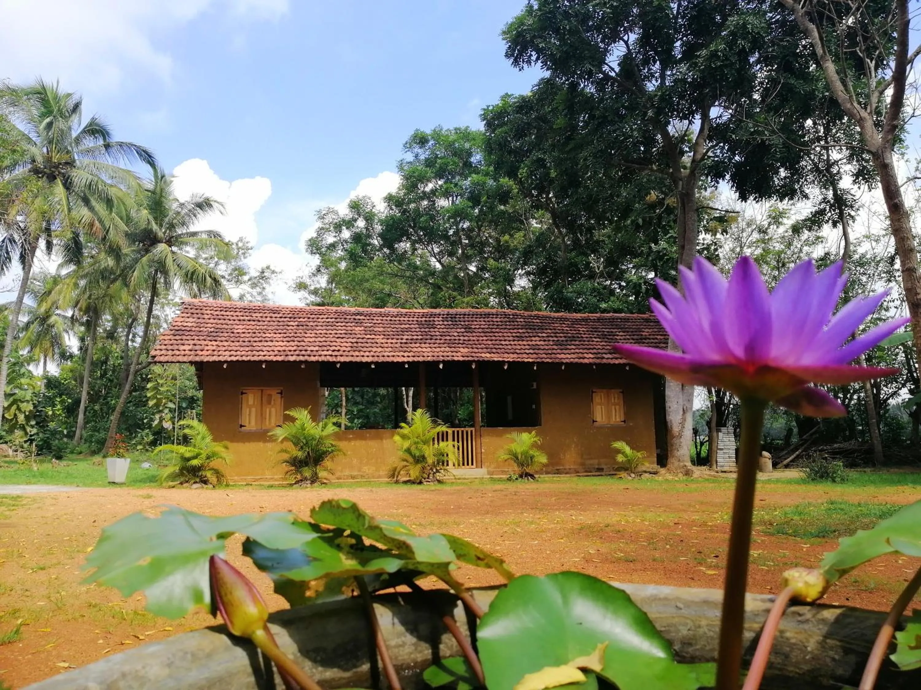 Ama Villa - Habarana