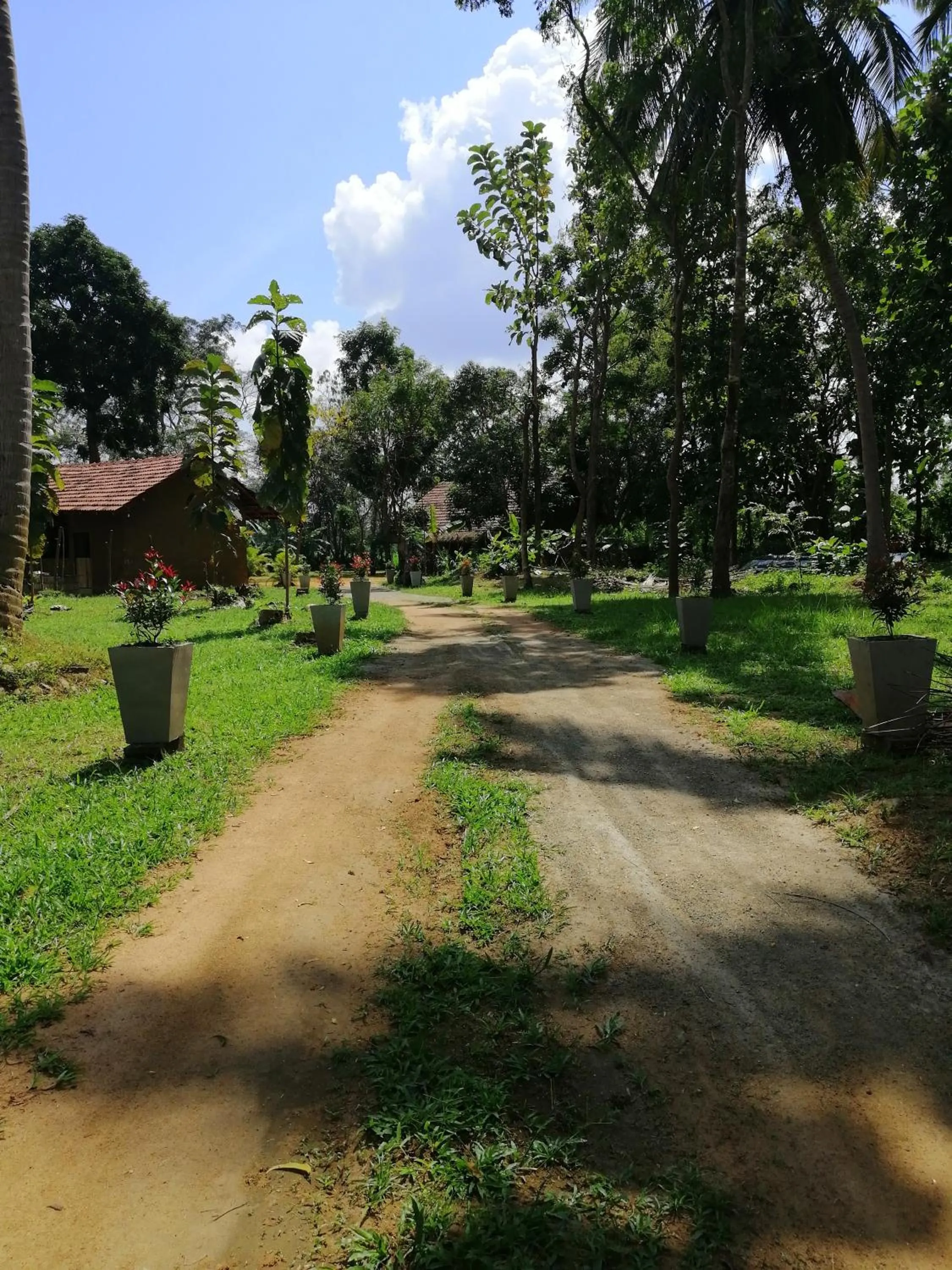 Ama Villa - Habarana