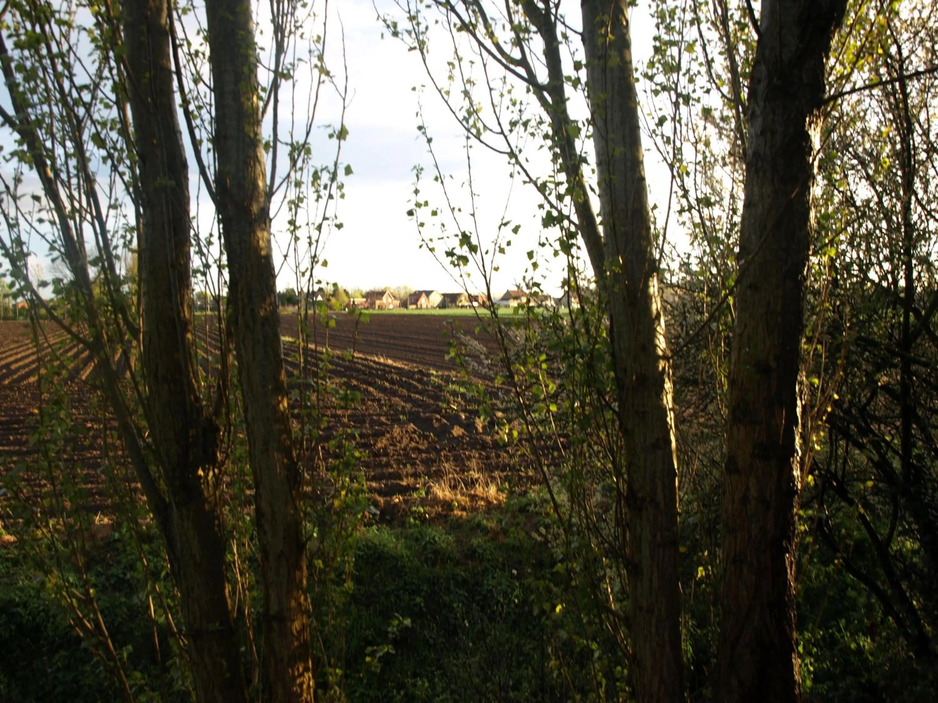 Area and facilities in Hotel De Stokerij