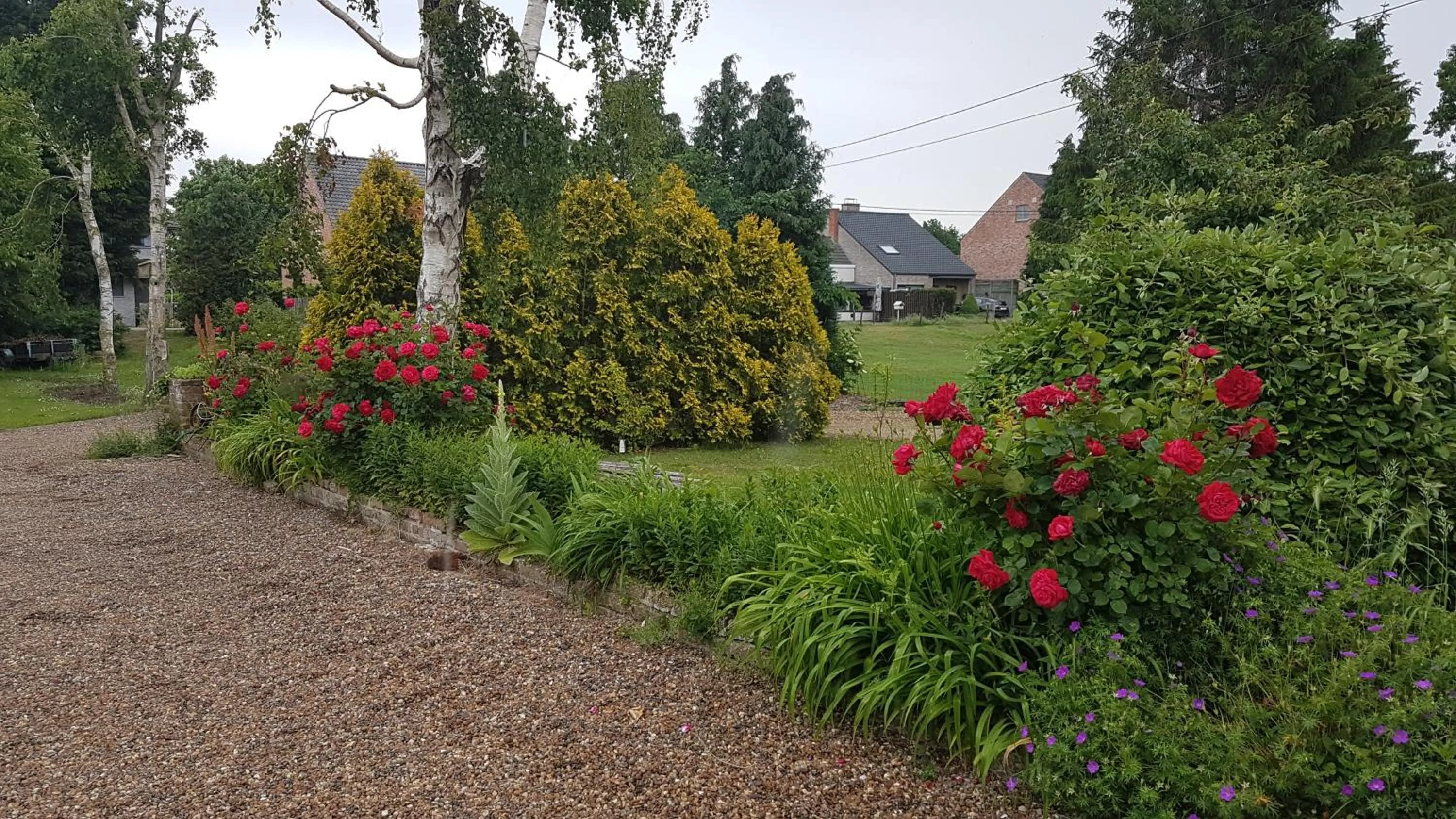 Garden in Hotel De Stokerij