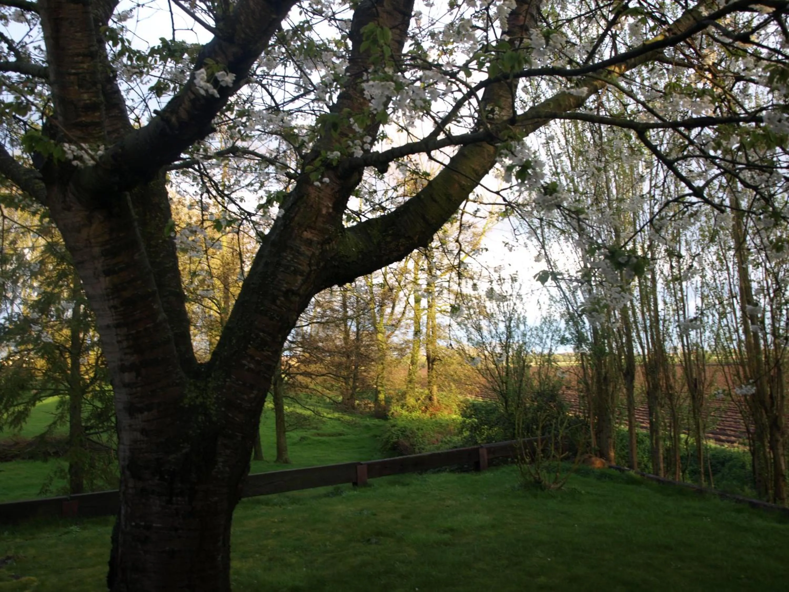 Area and facilities in Hotel De Stokerij
