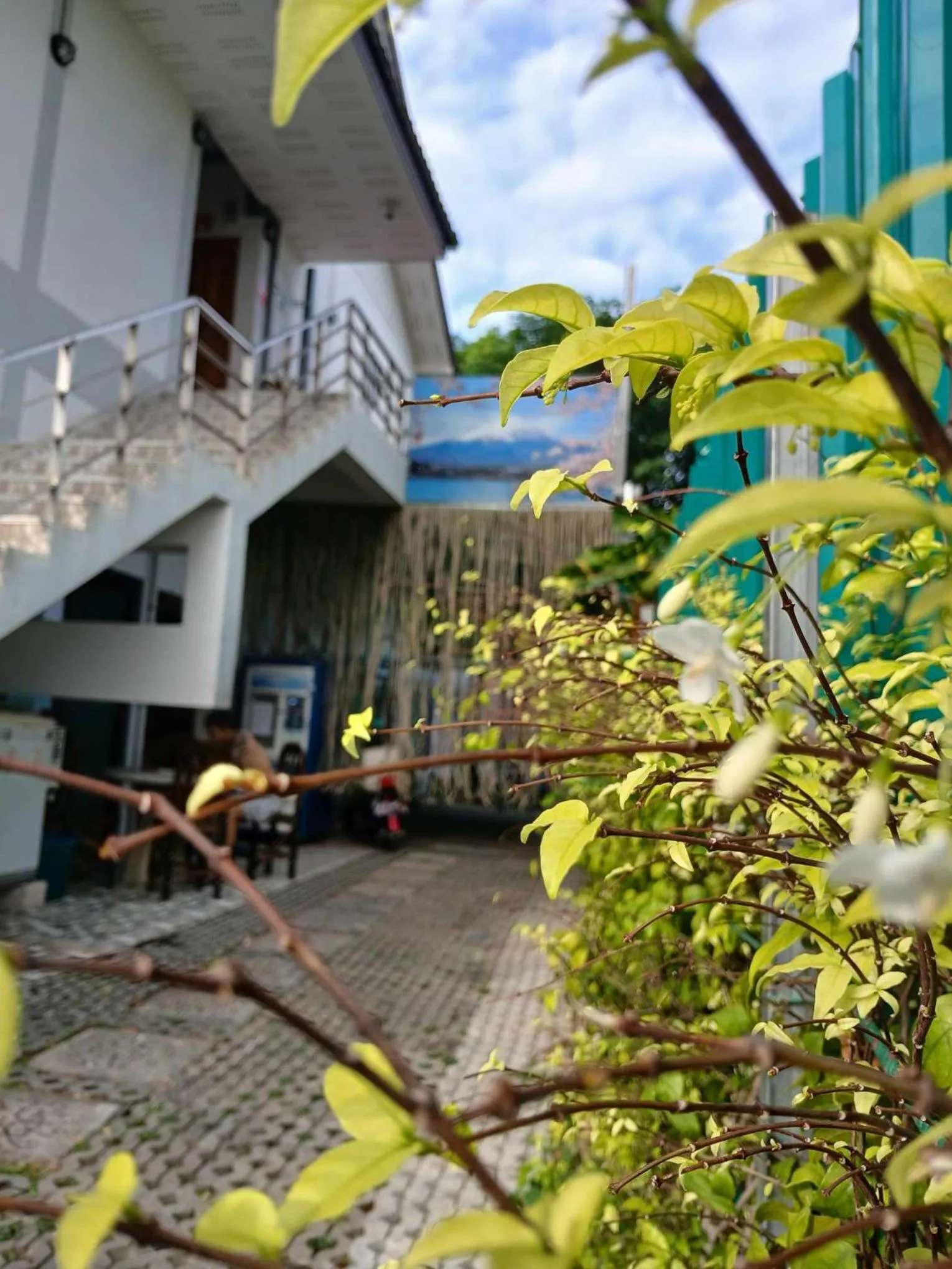 Sakura House
