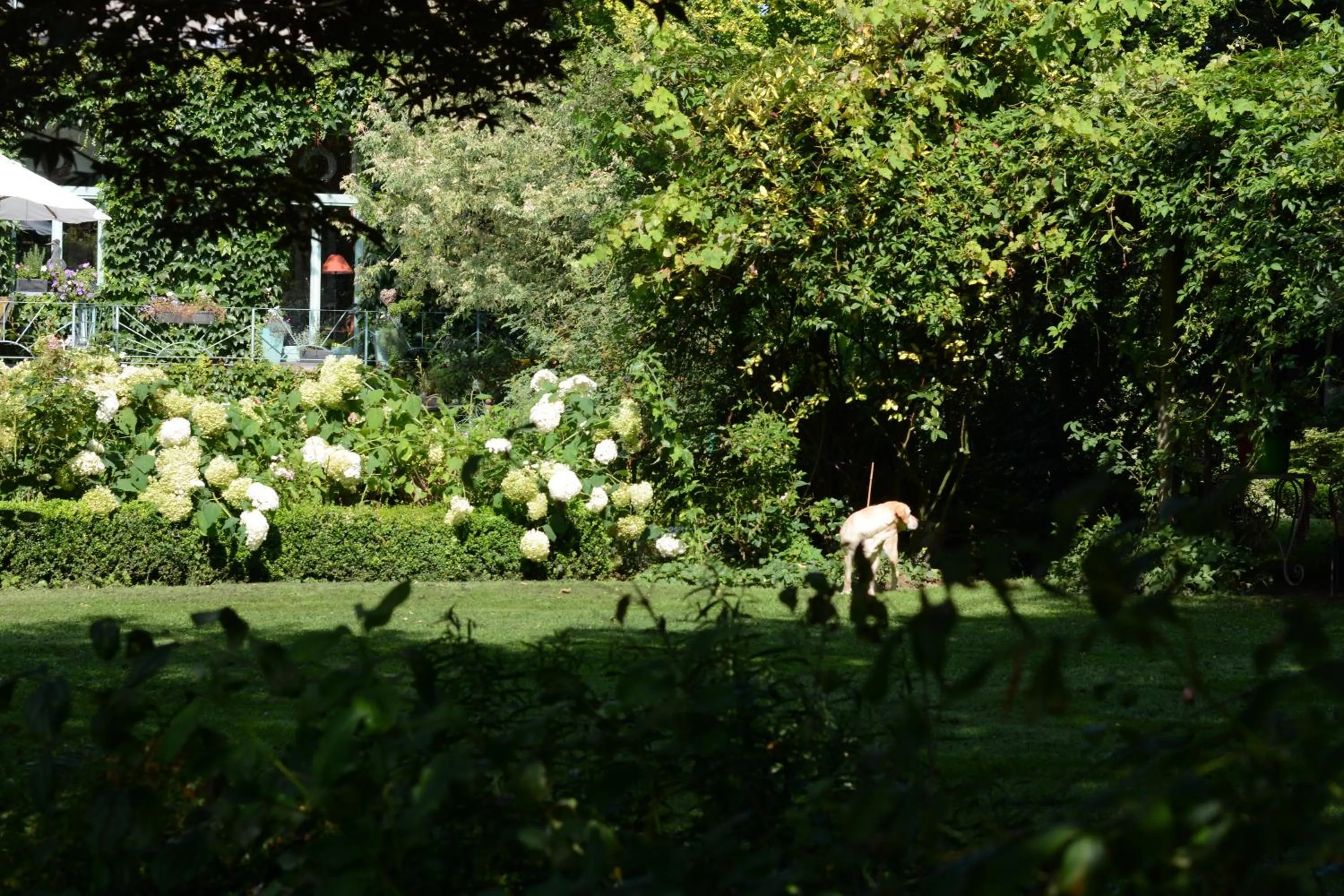 Natural landscape in La Roseraie