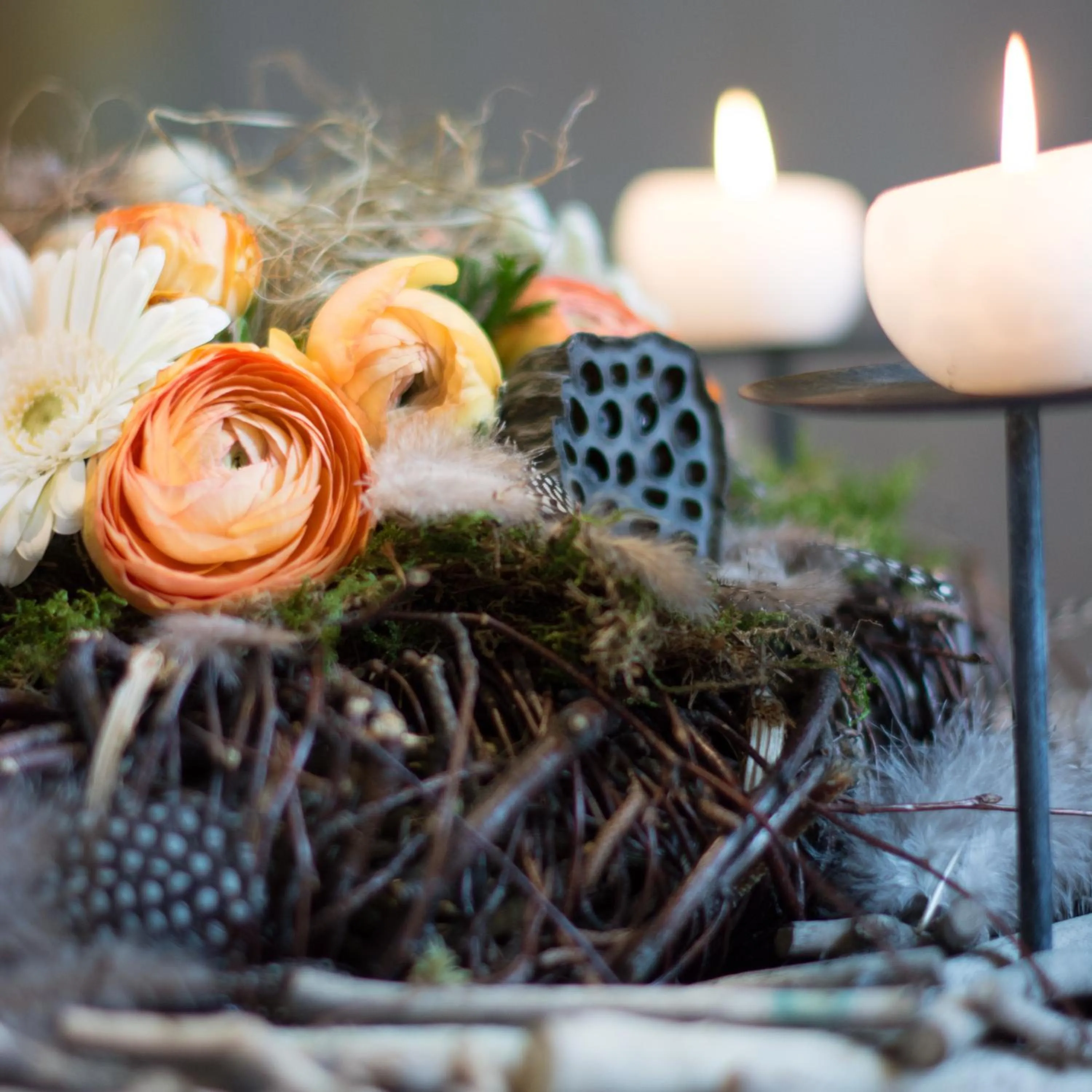 Activities in La Roseraie