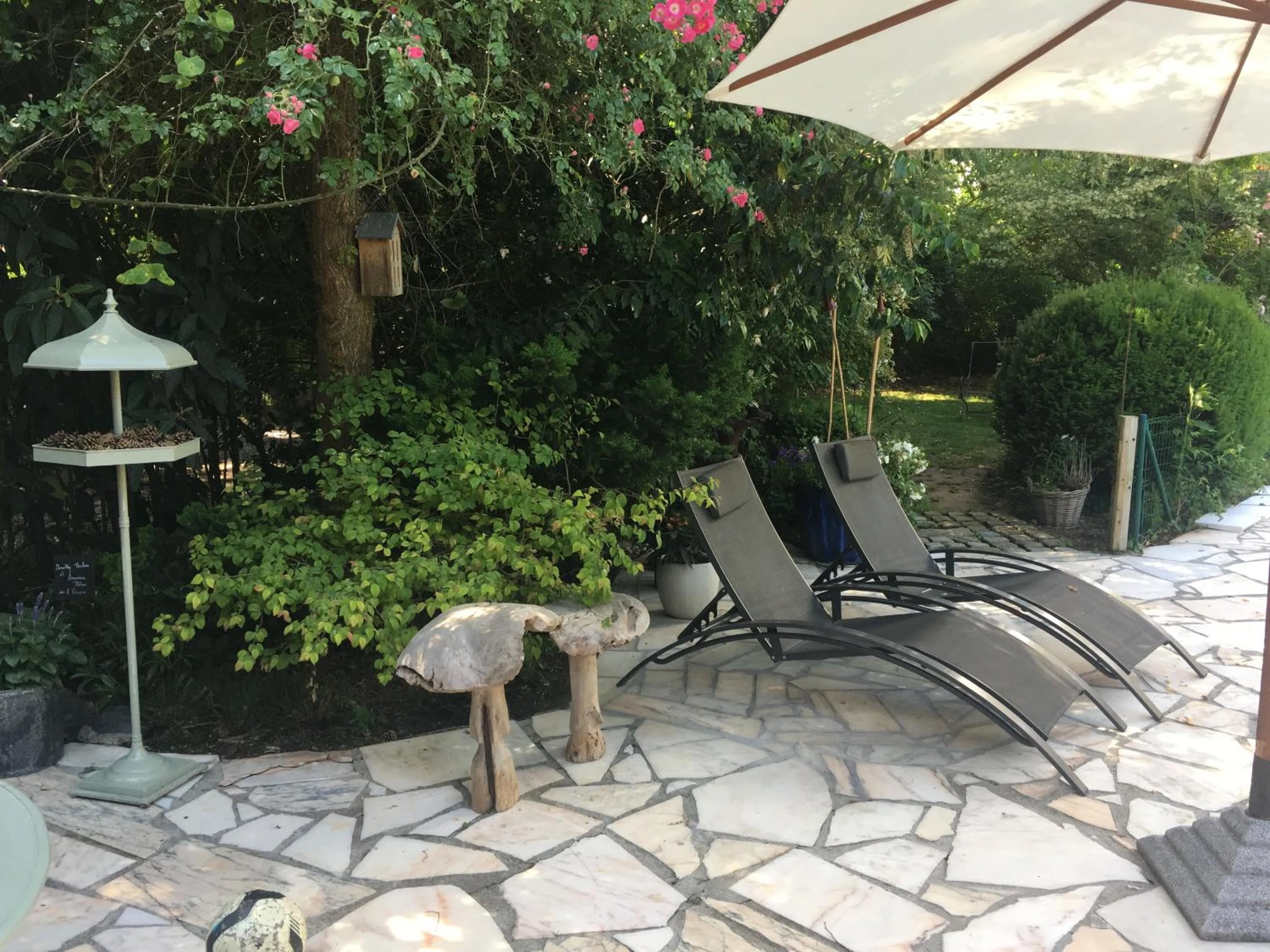 Swimming pool in La Roseraie