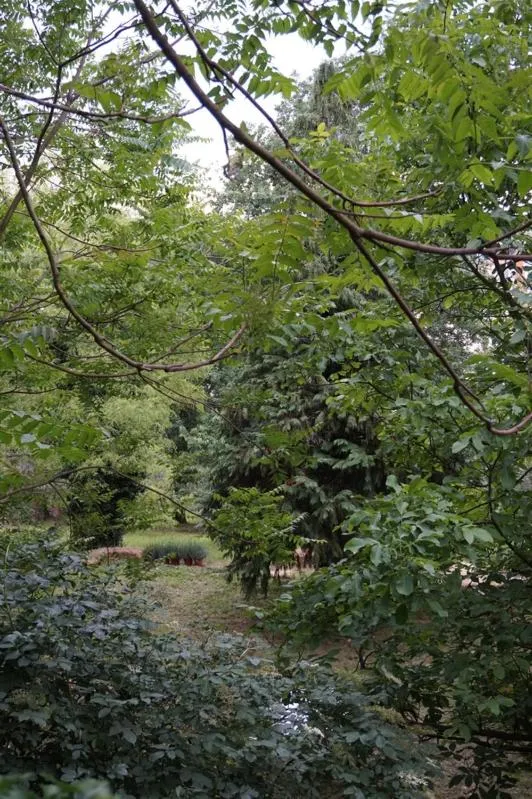 La Foresteria del Convento