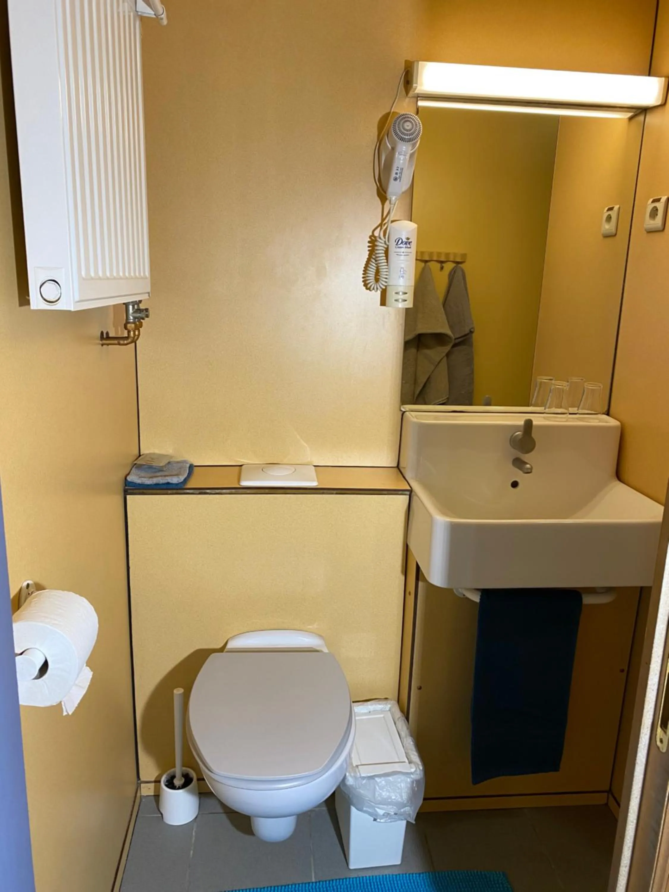 Toilet in Hotel Fauwater