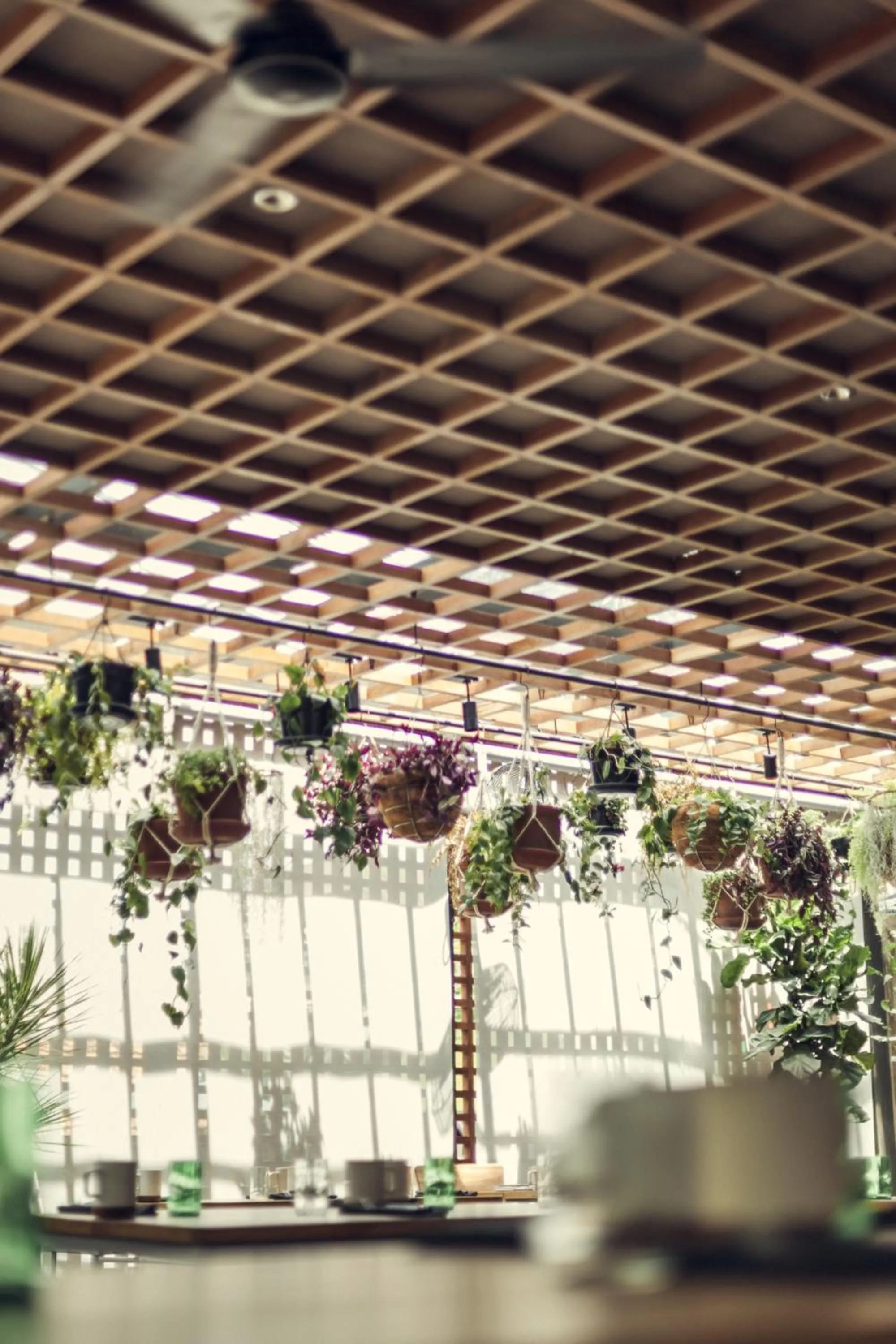 Decorative detail in The Slow