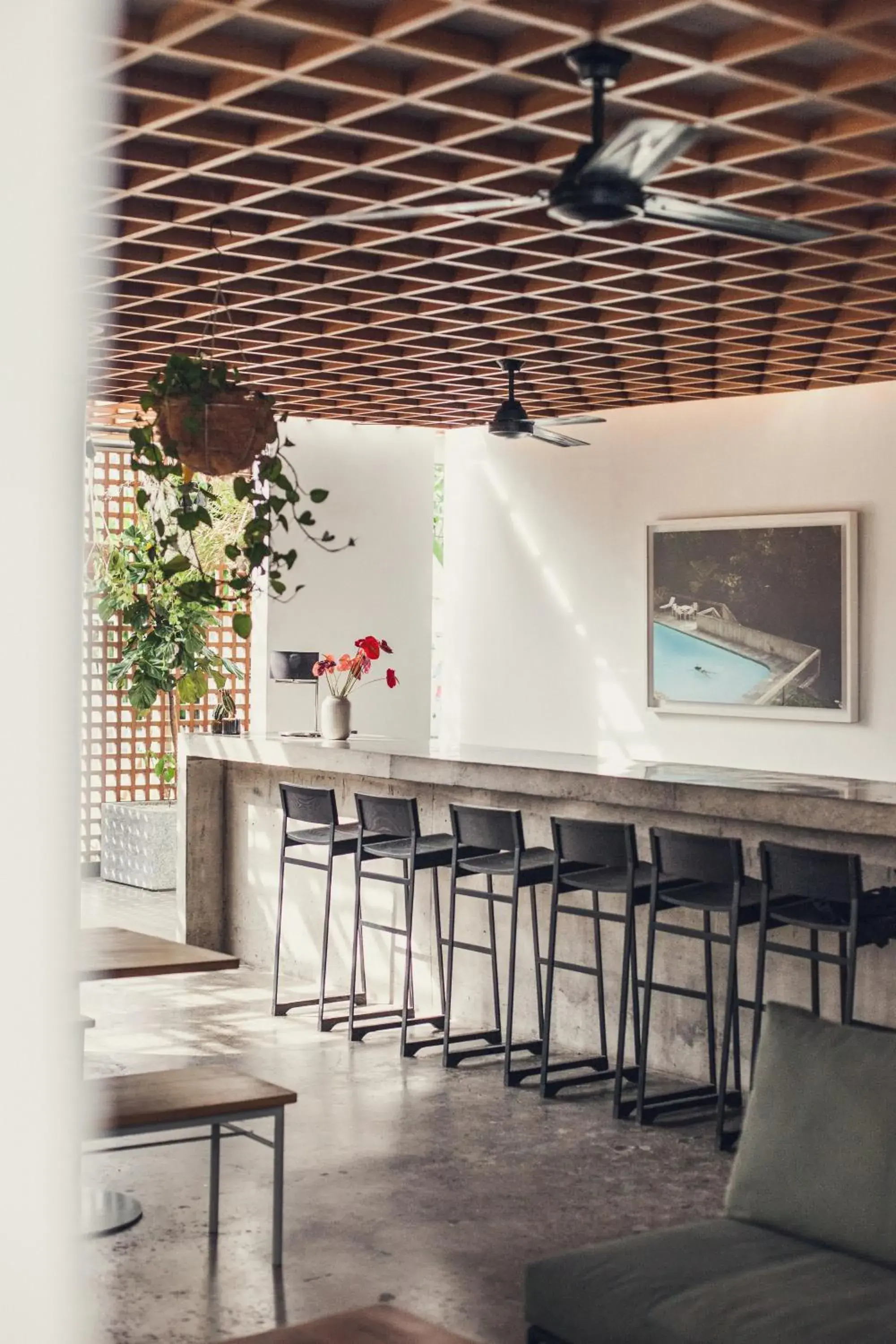 Lounge or bar in The Slow Lounge or bar in The Slow