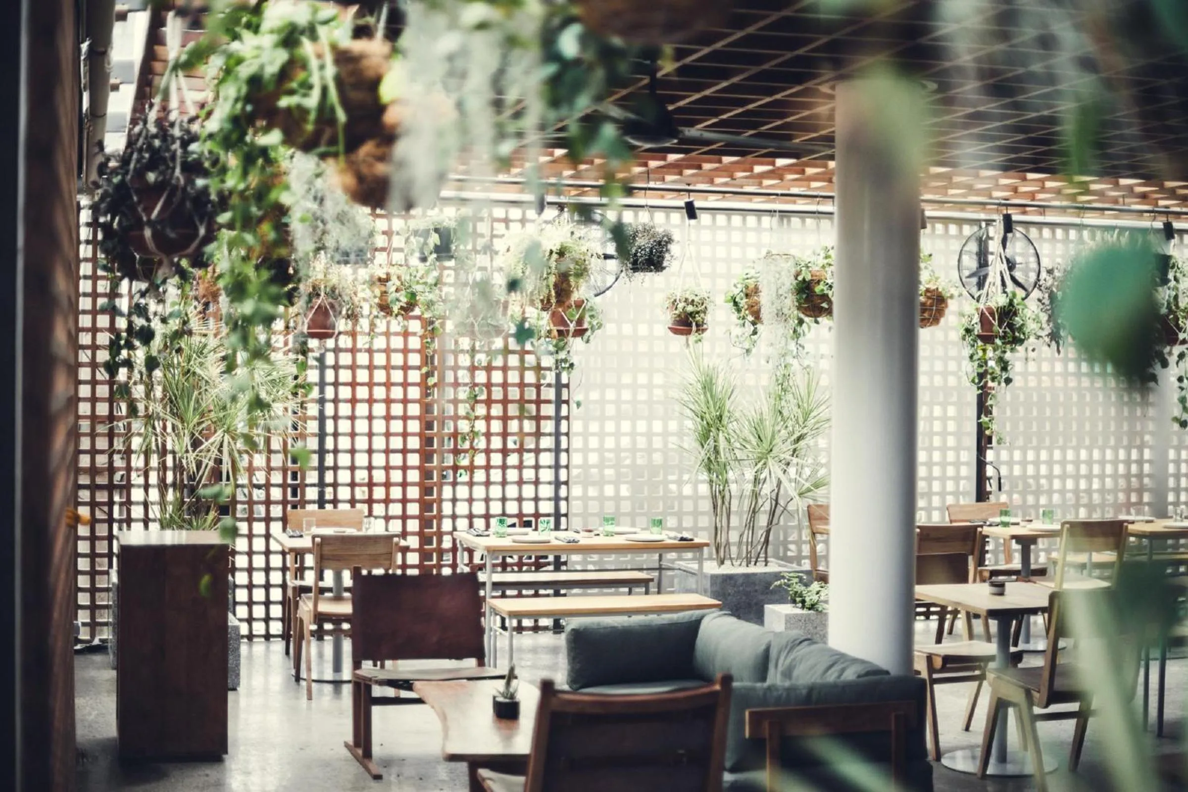 Restaurant/places to eat in The Slow