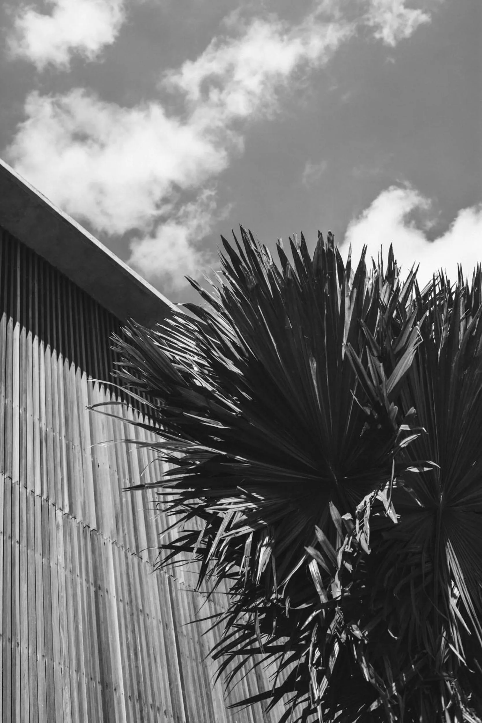 Decorative detail in The Slow