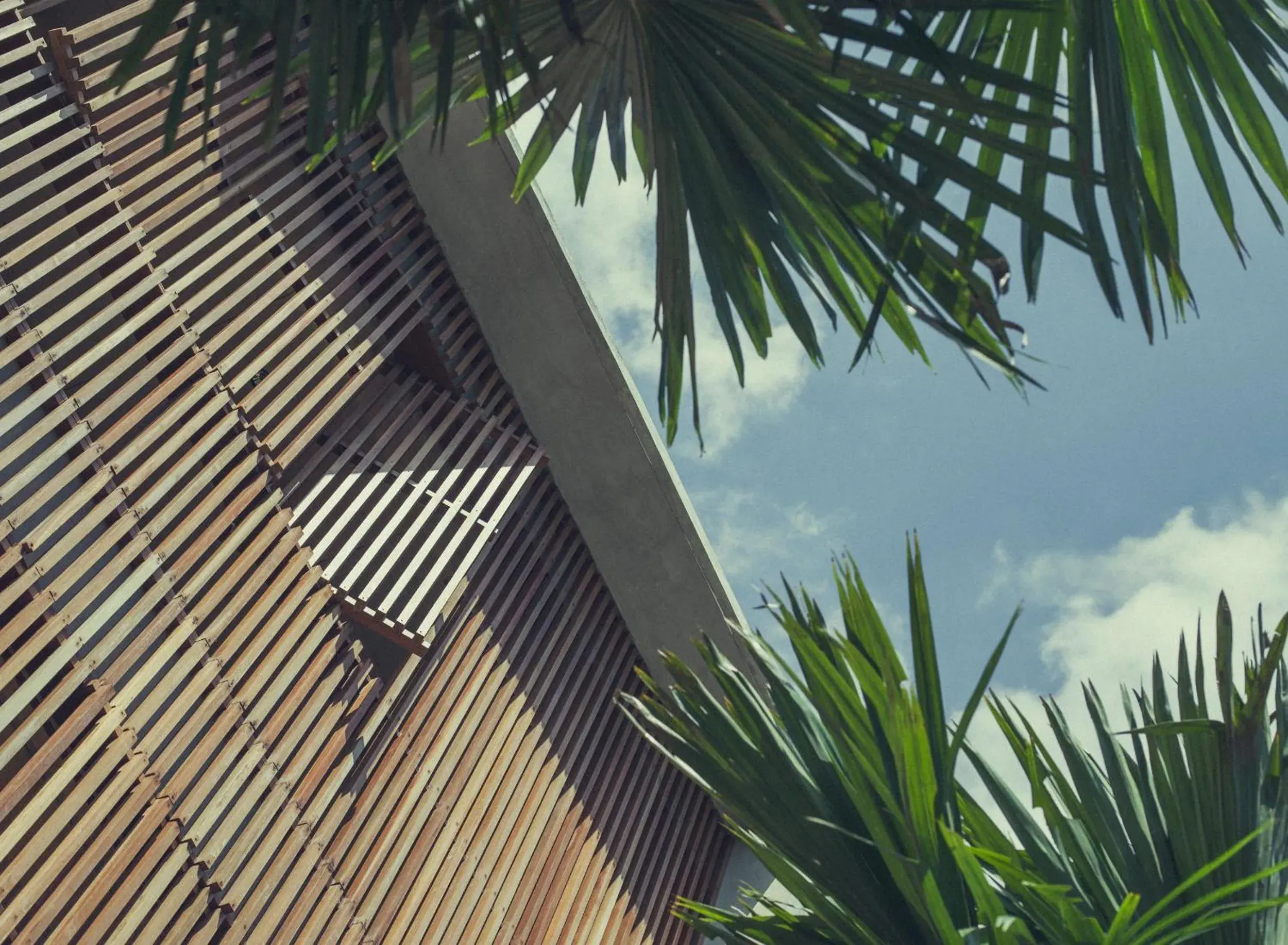 Property building in The Slow Property building in The Slow