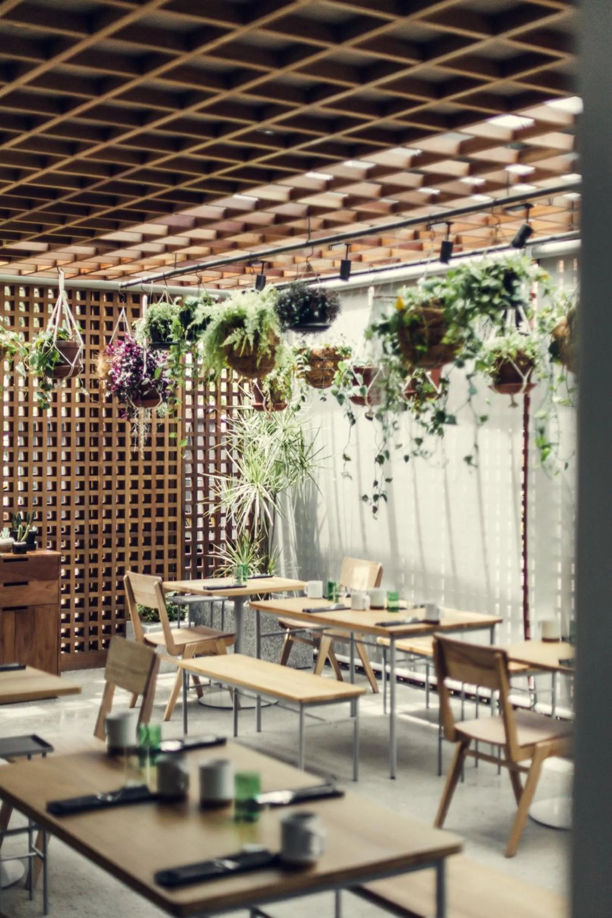 Restaurant/places to eat in The Slow