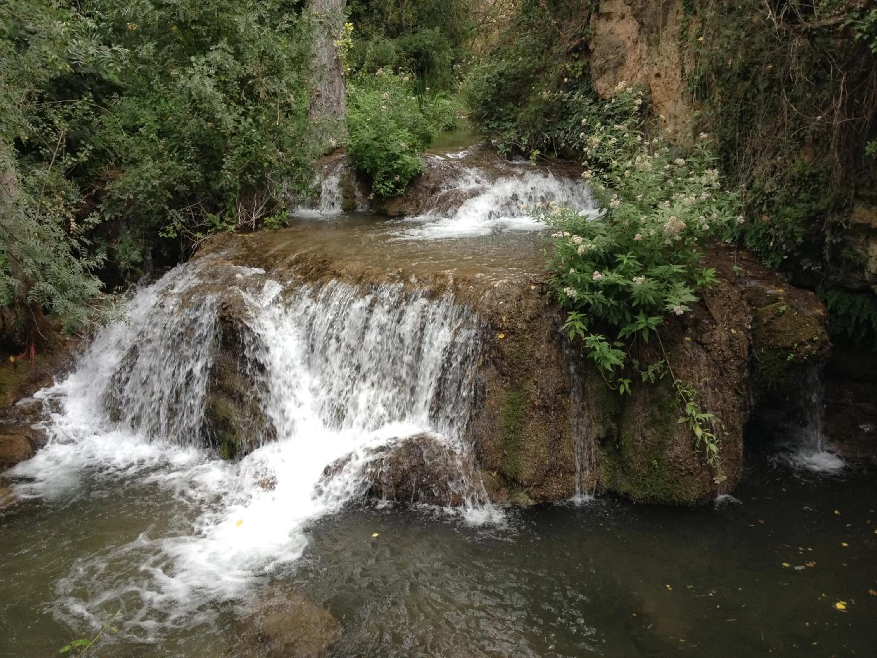 Property building in Casa Lola