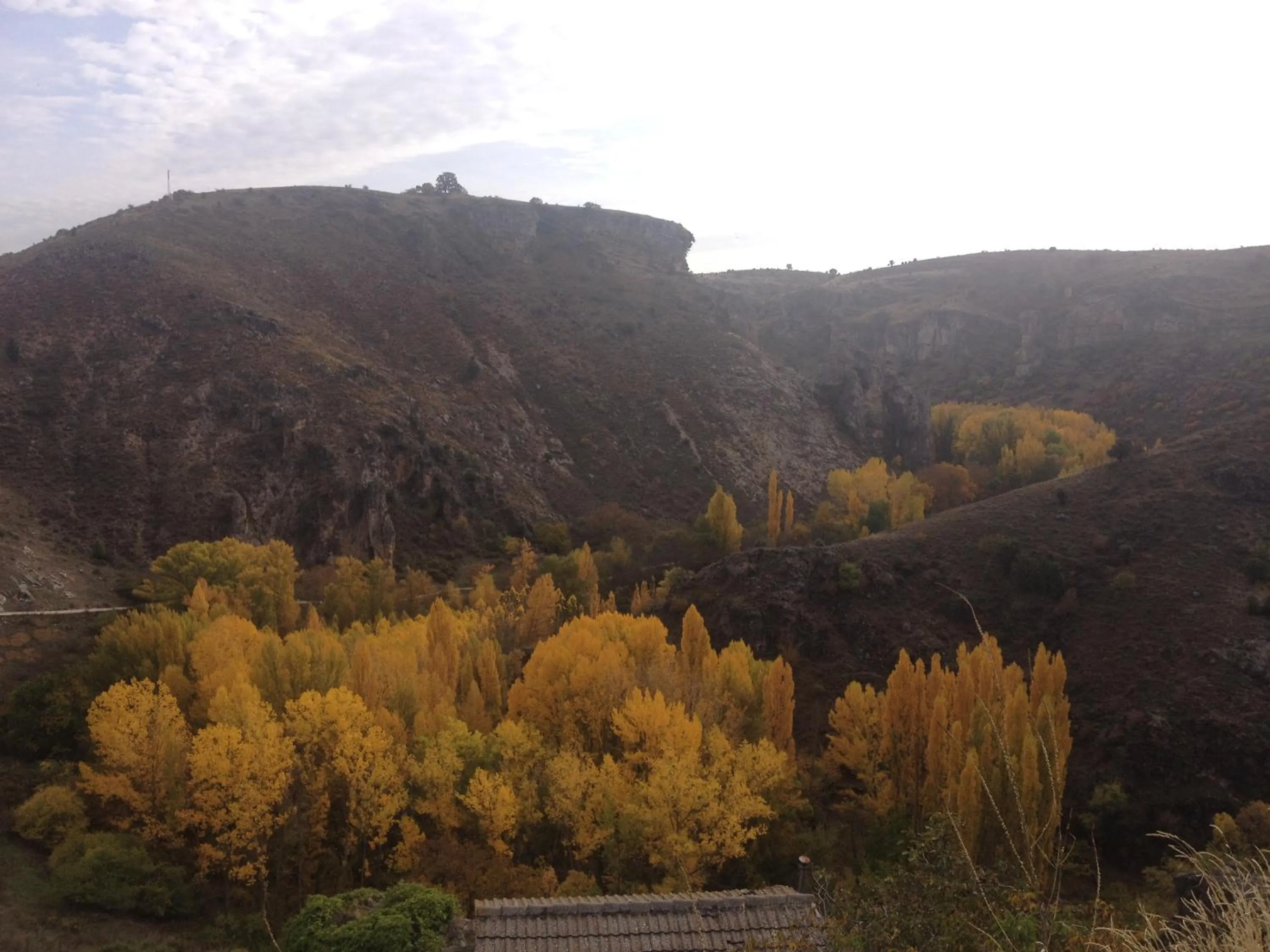 Property building in Casa Lola