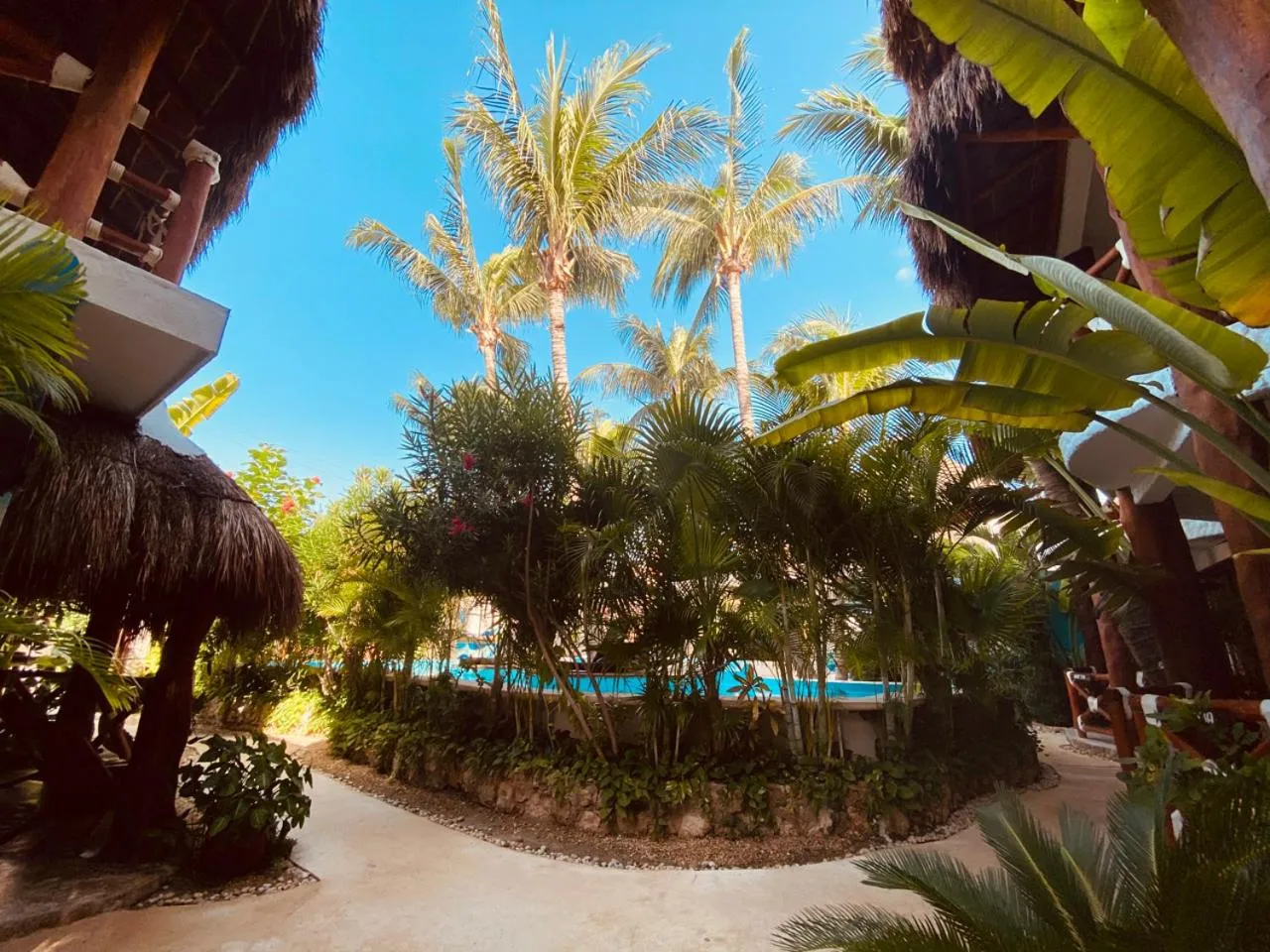 Area and facilities in Hotel Para Ti - Adults Only