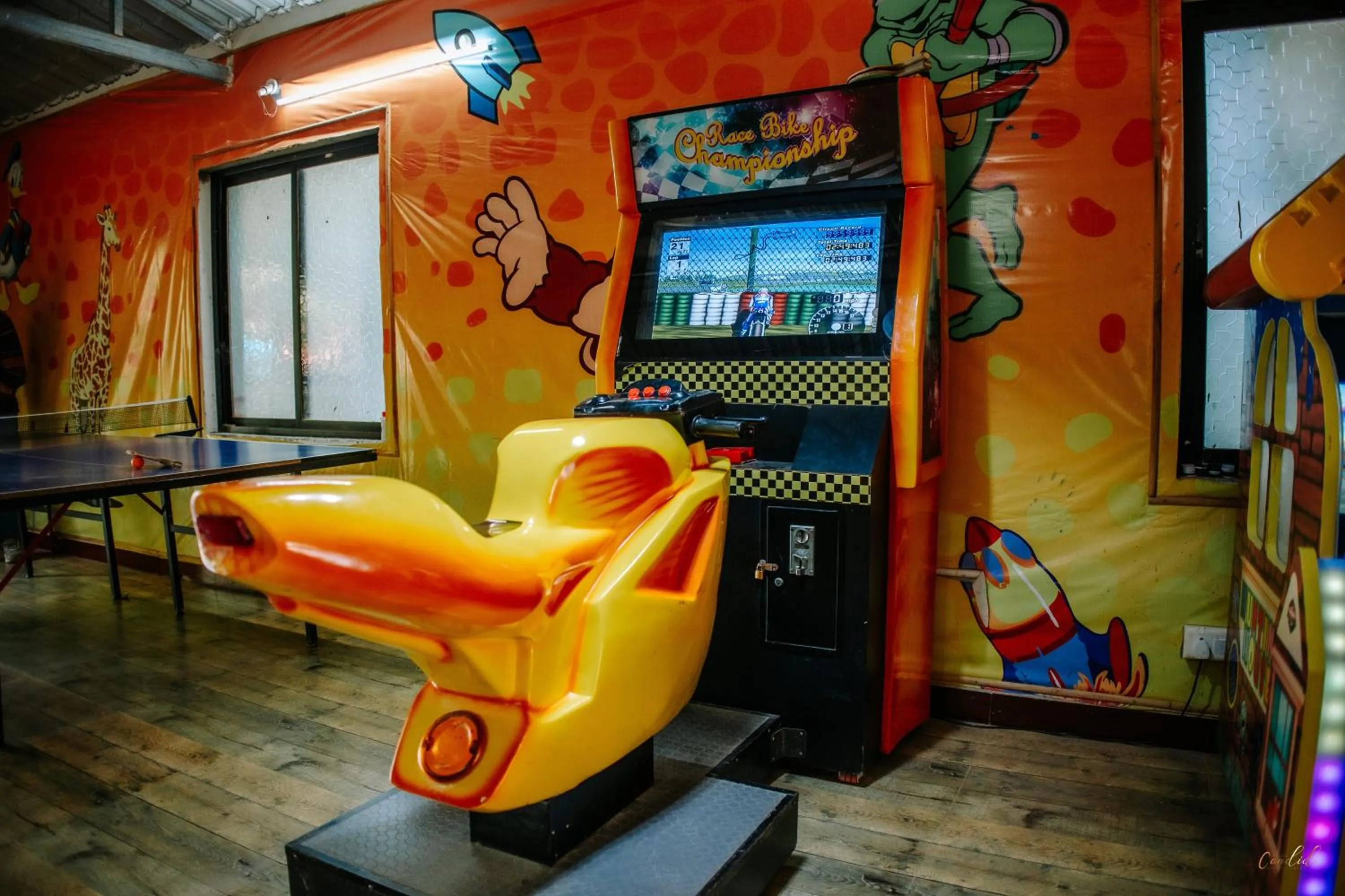 Game Room in Daksh Resort And Amusement Park