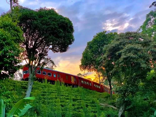 Train View Chalet