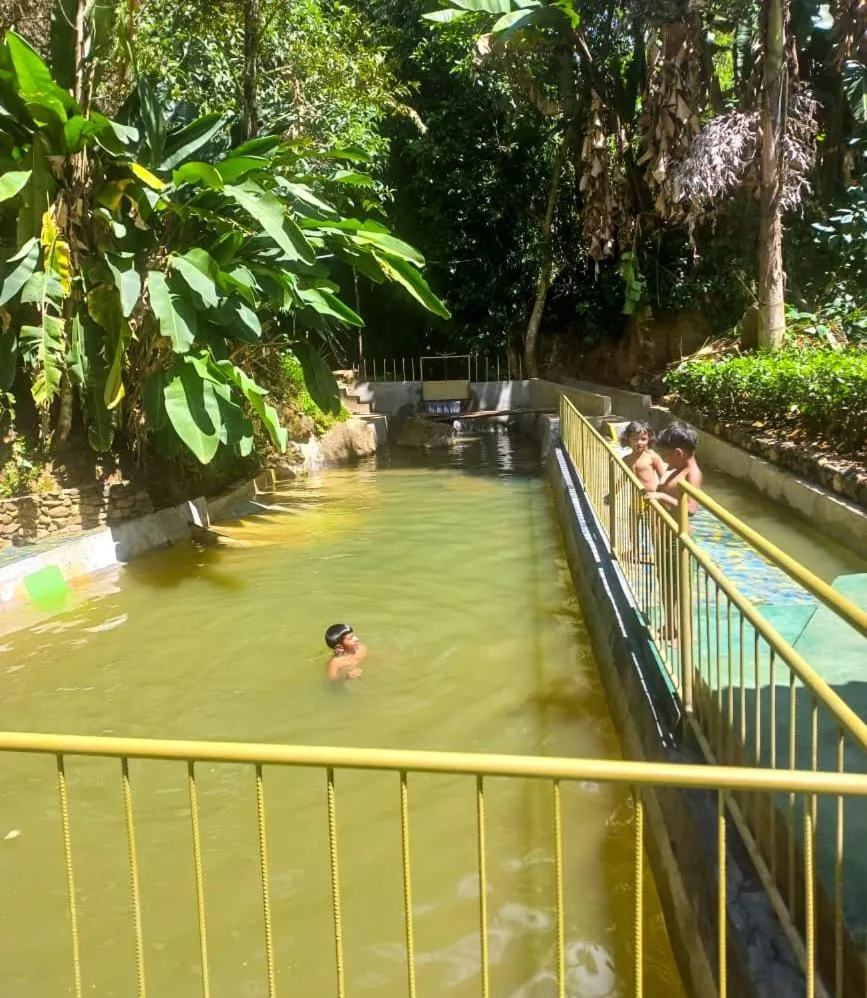 Swimming pool in Train View Chalet