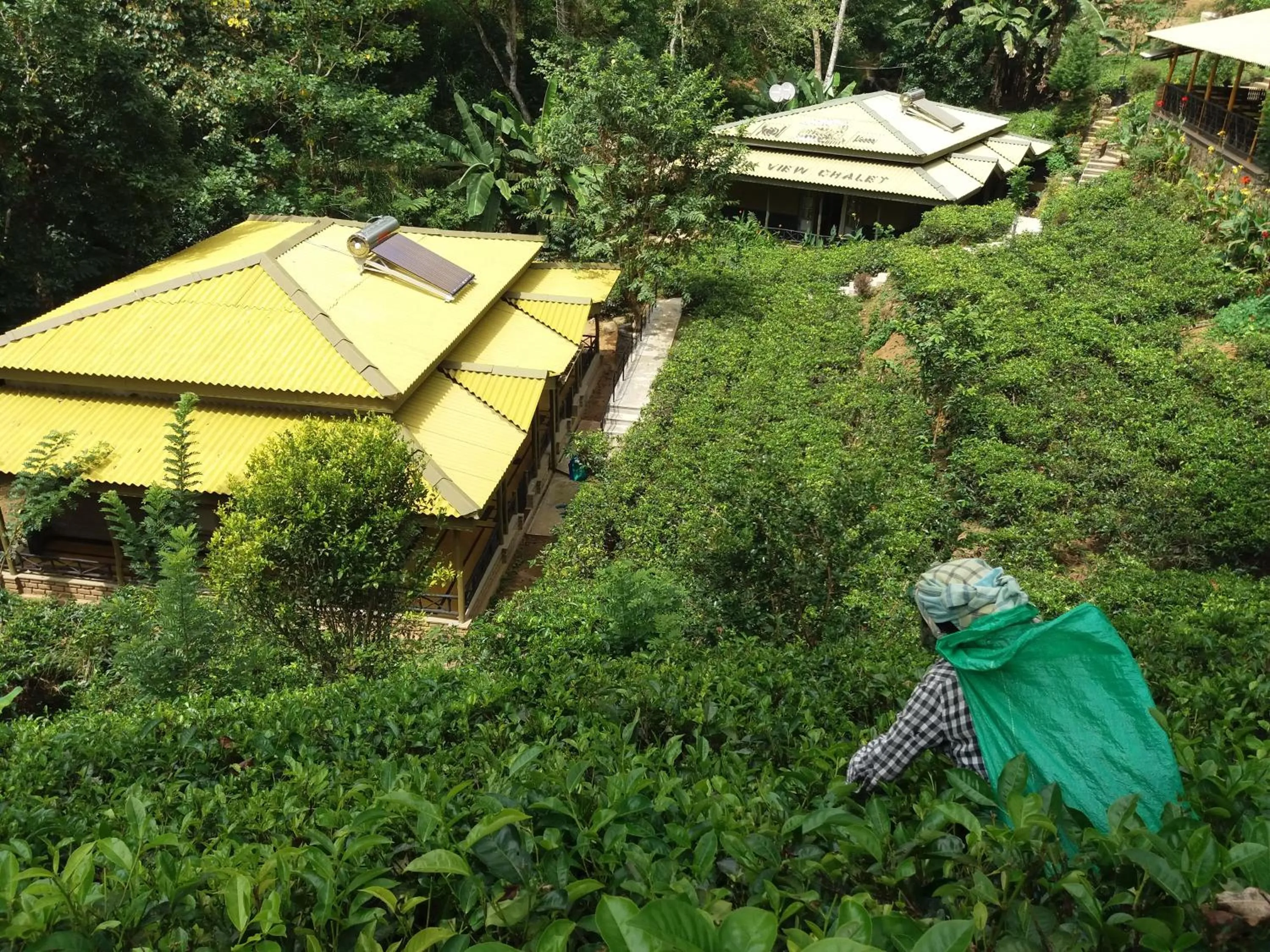 Bird's eye view in Train View Chalet