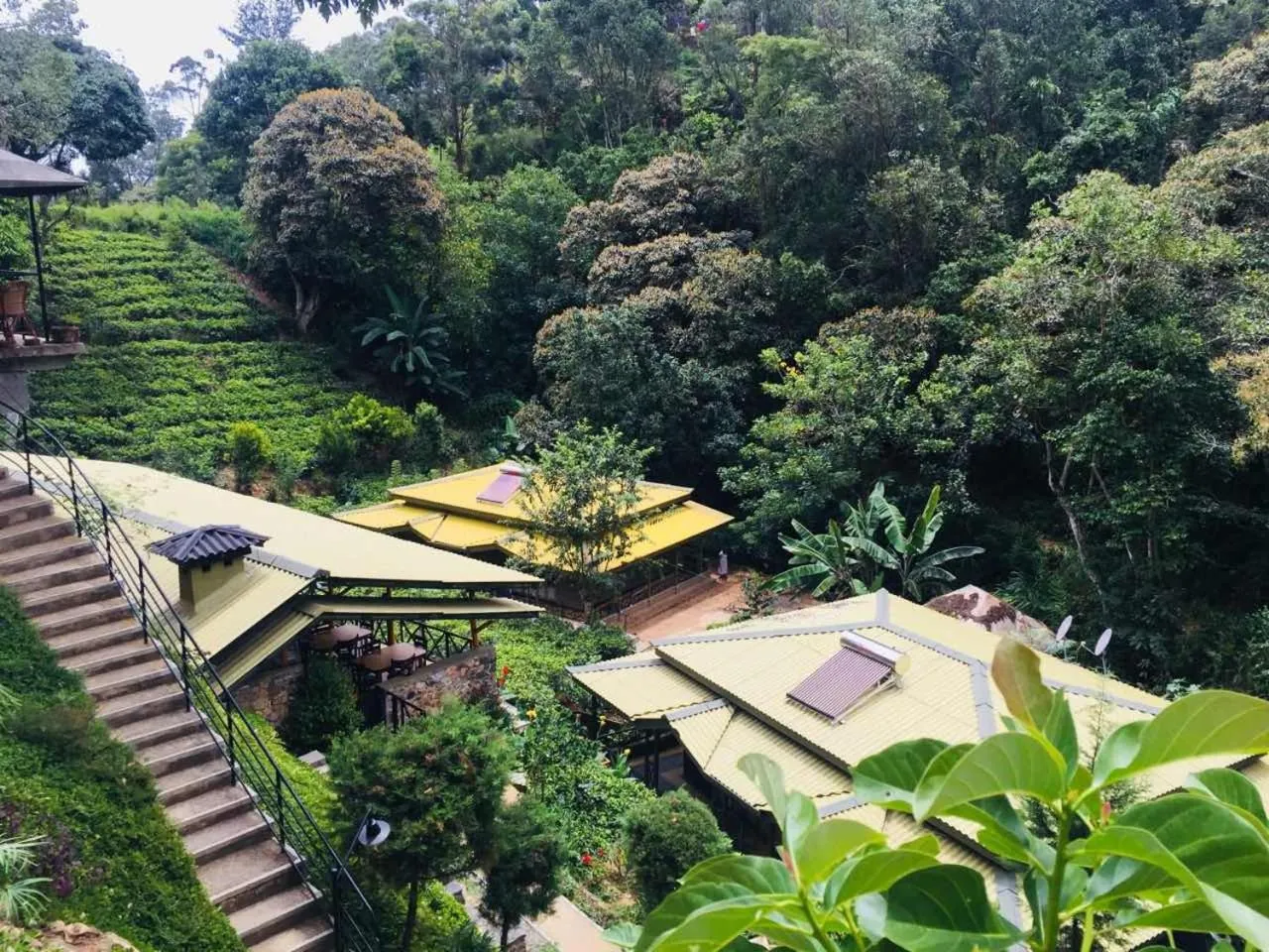 Garden view in Train View Chalet
