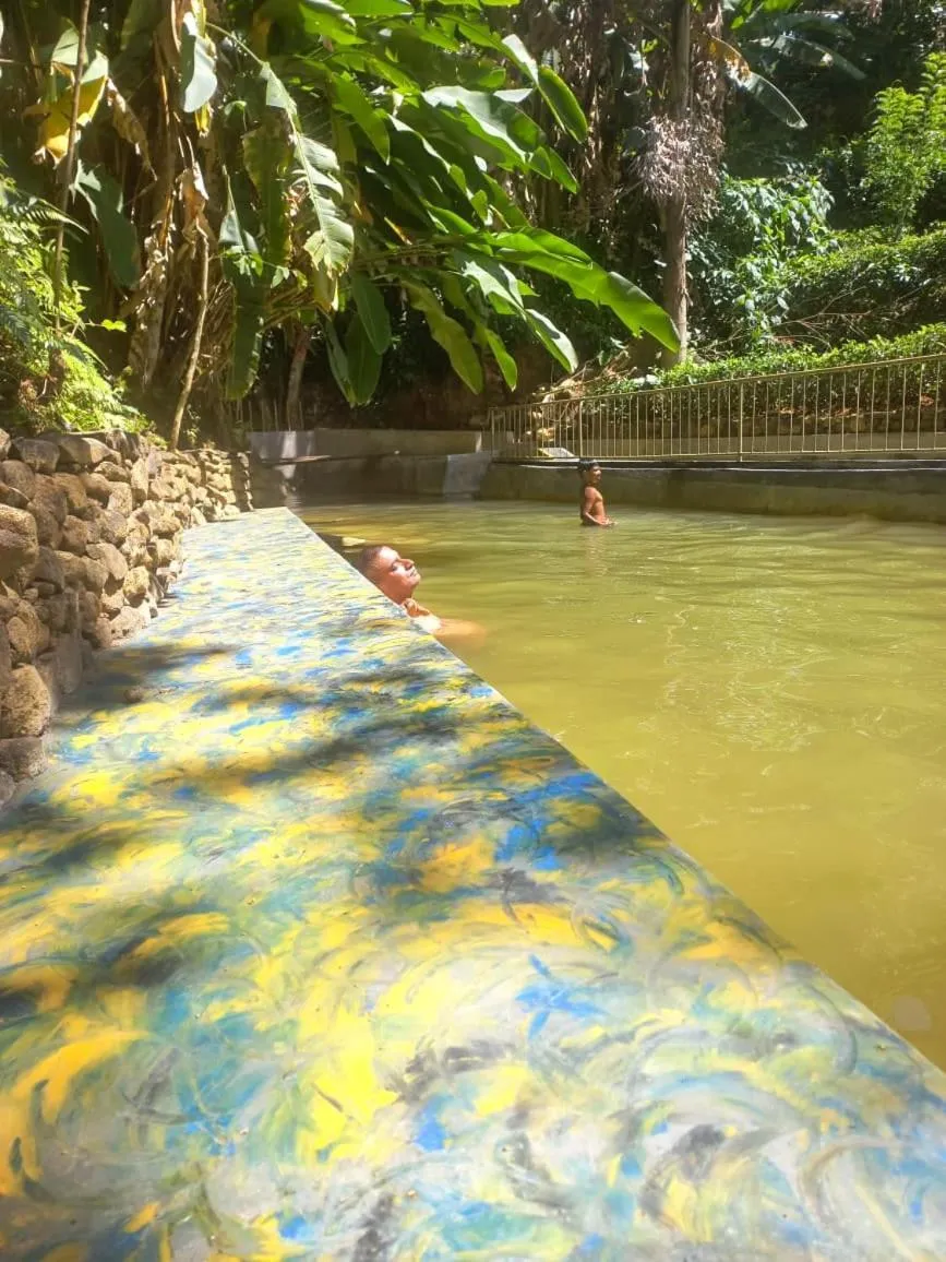 Swimming pool in Train View Chalet