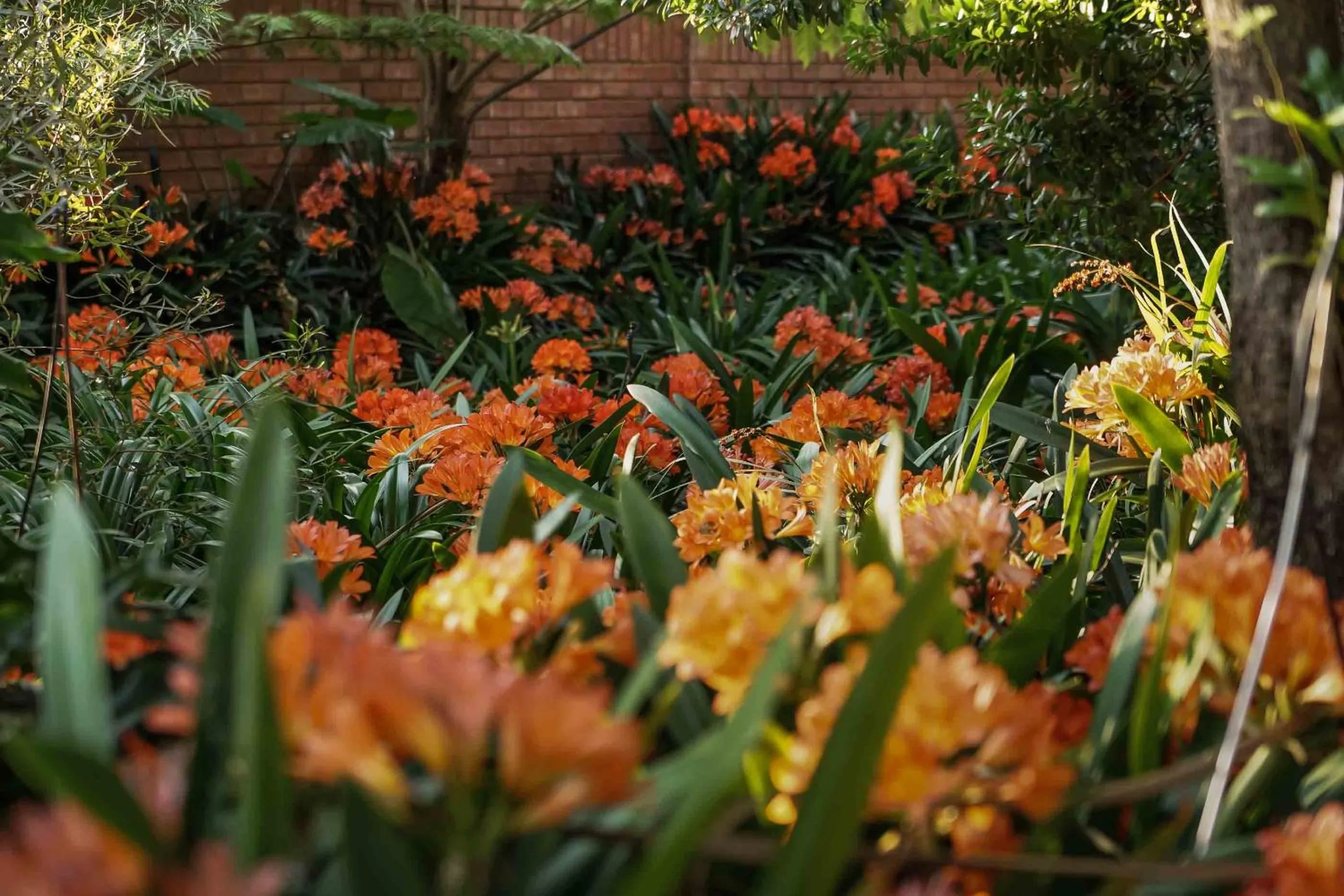 Spring in Hudson House