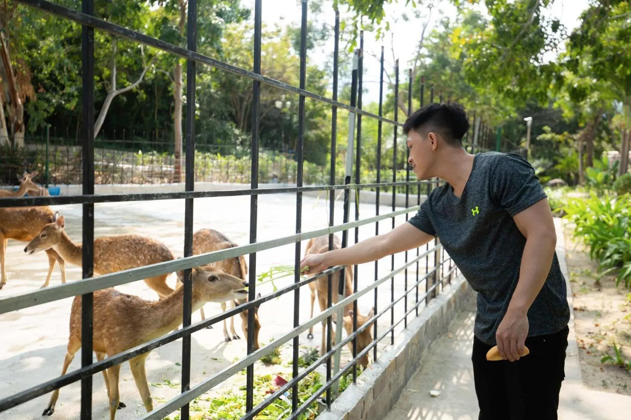View (from property/room) in Diamond Bay Condotel Resort Nha Trang View (from property/room) in Diamond Bay Condotel Resort Nha Trang