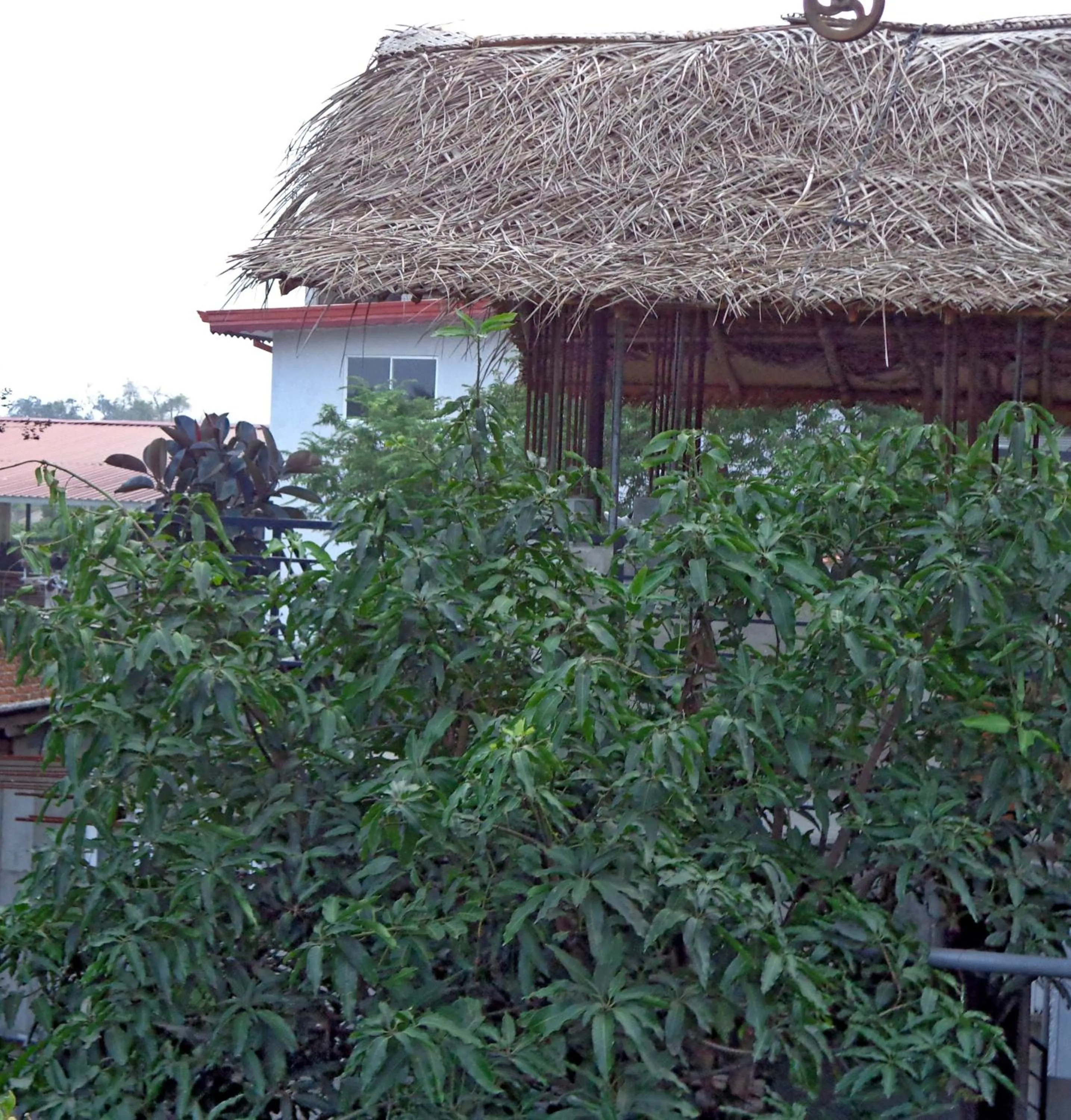 Property building in Rajarata Reach Resort