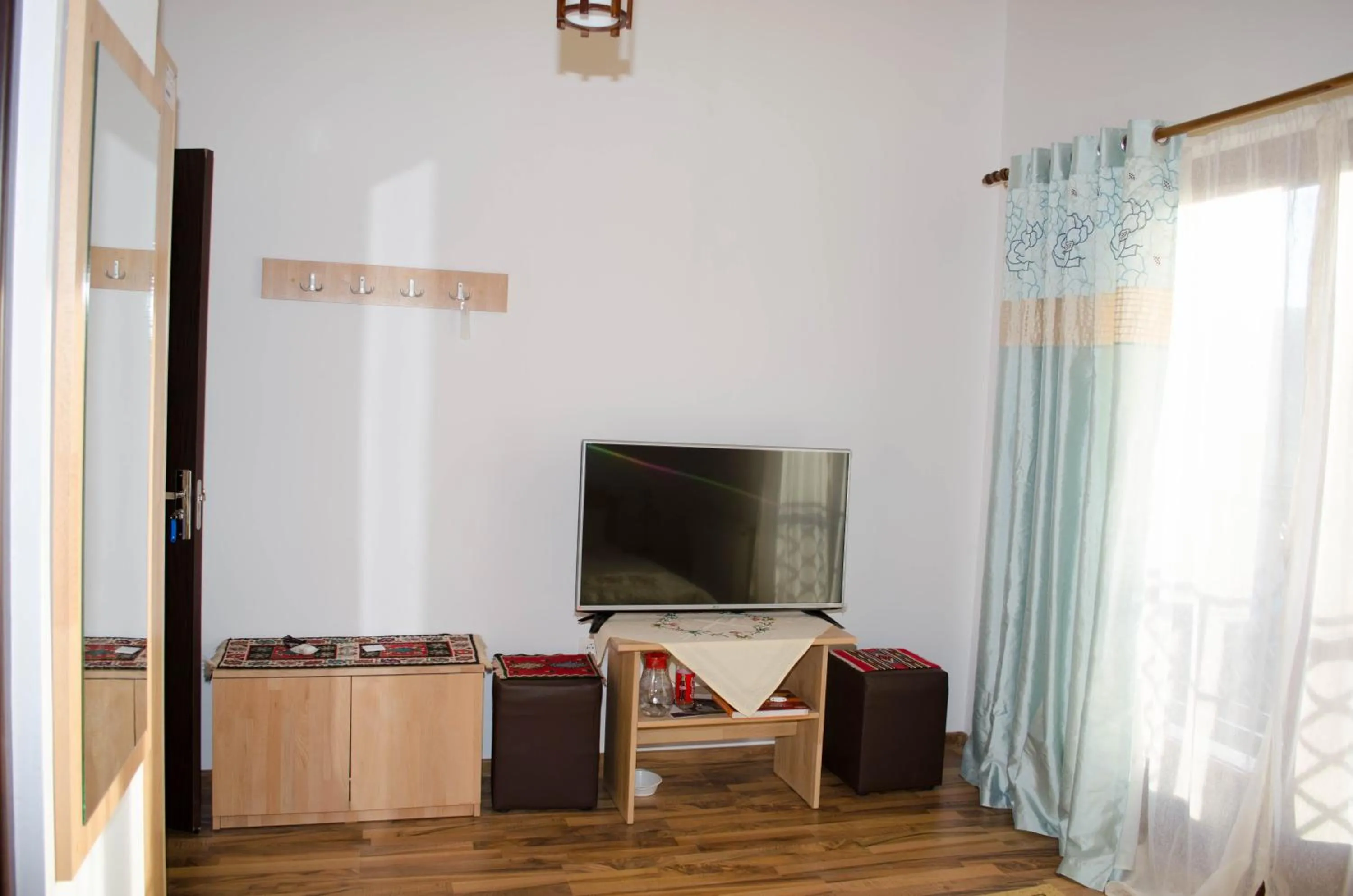 Double Room - single occupancy in Pensiunea Dorel Codoban