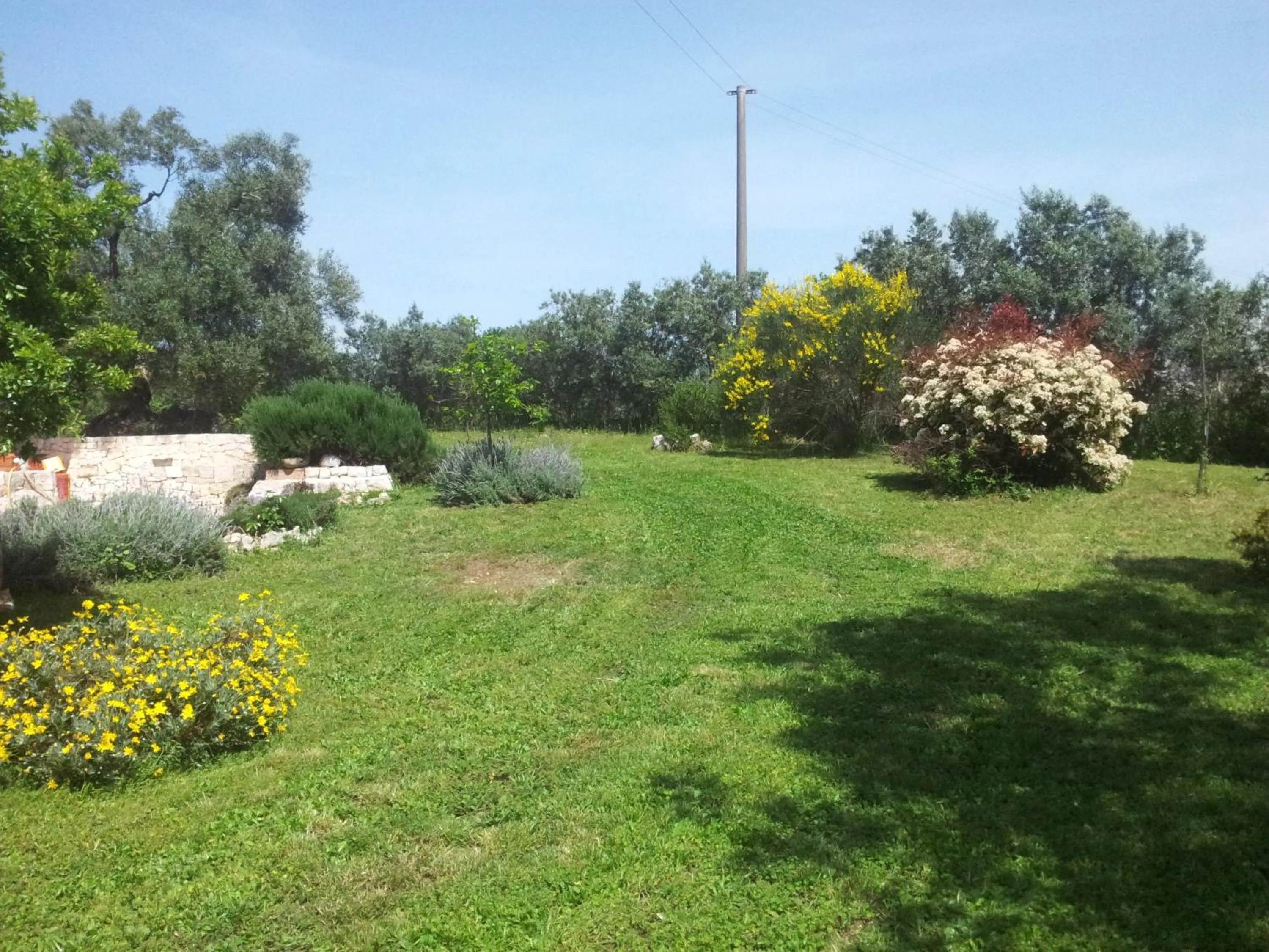 Garden in B&B La Gufa