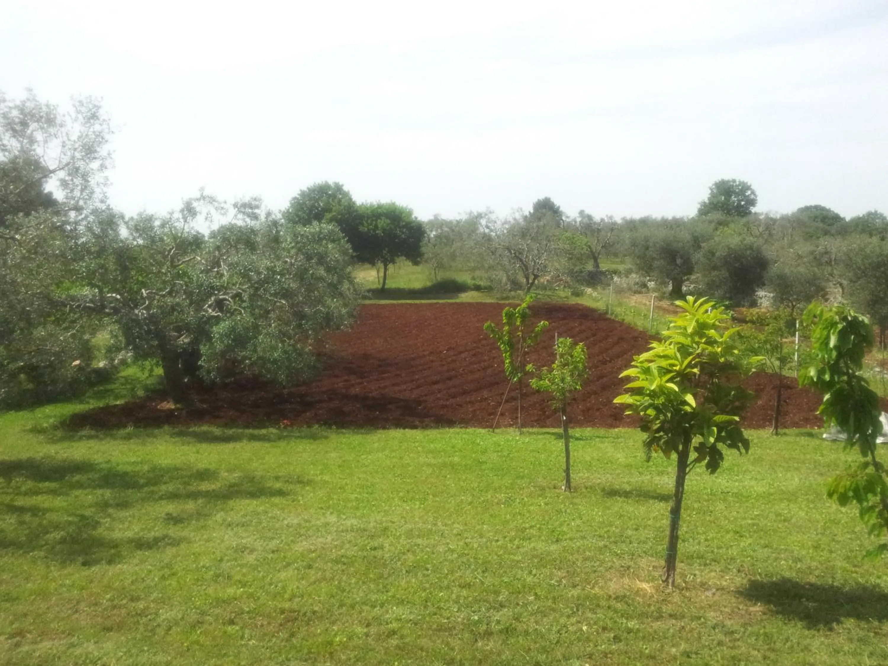 Garden view in B&B La Gufa