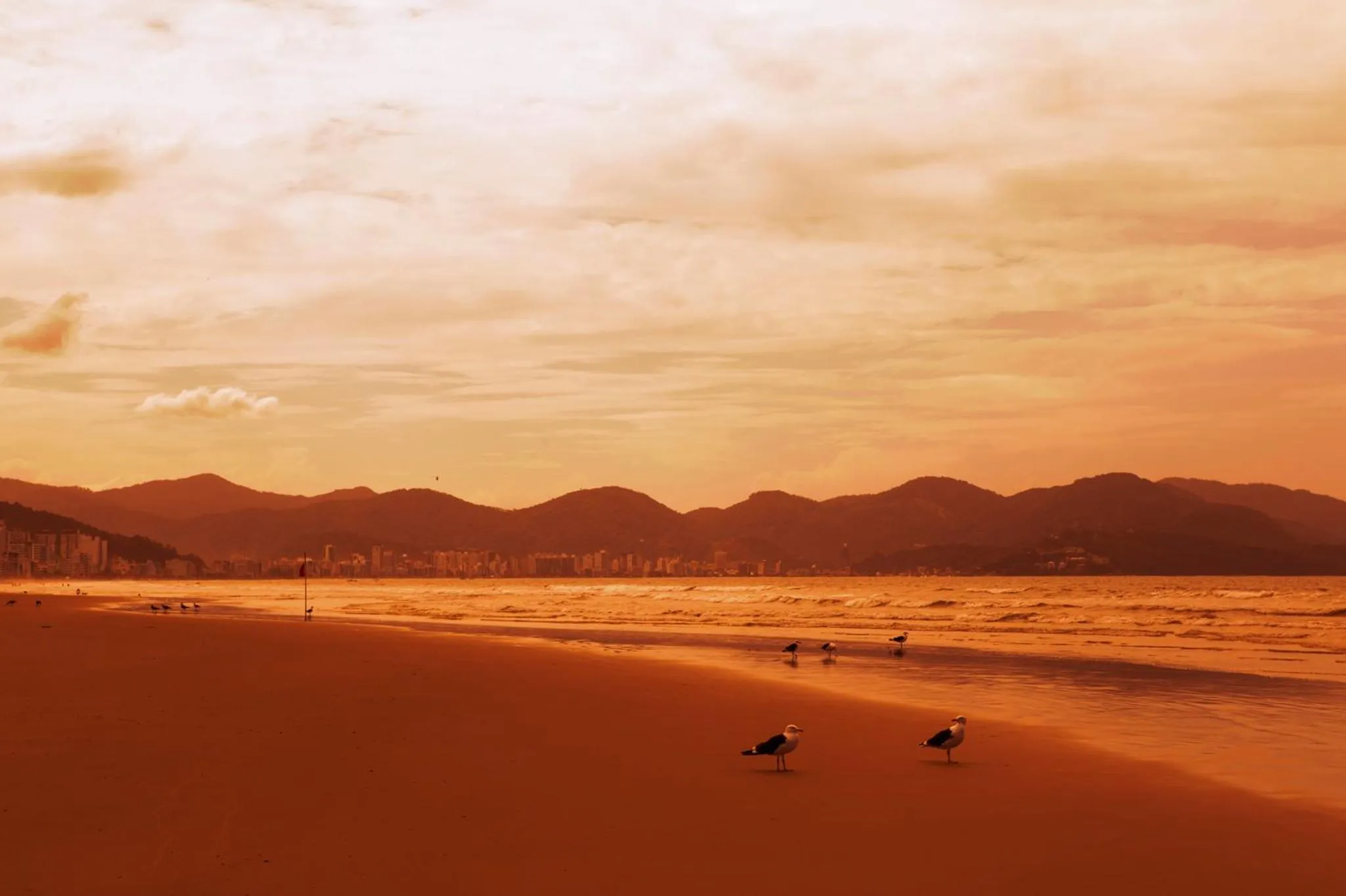 Sea view in Hotel Itapema Meia Praia