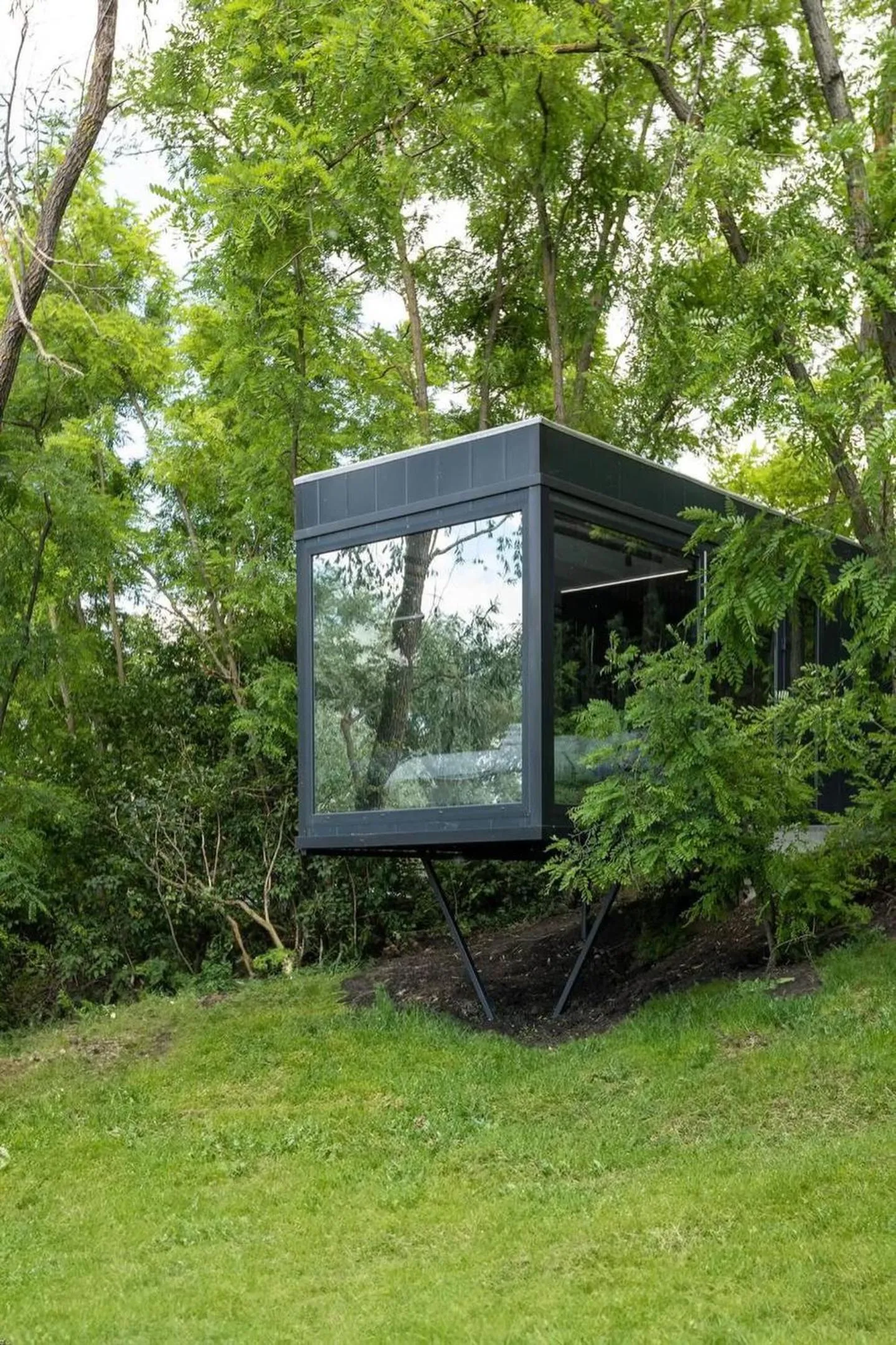 Tree House Relax Park