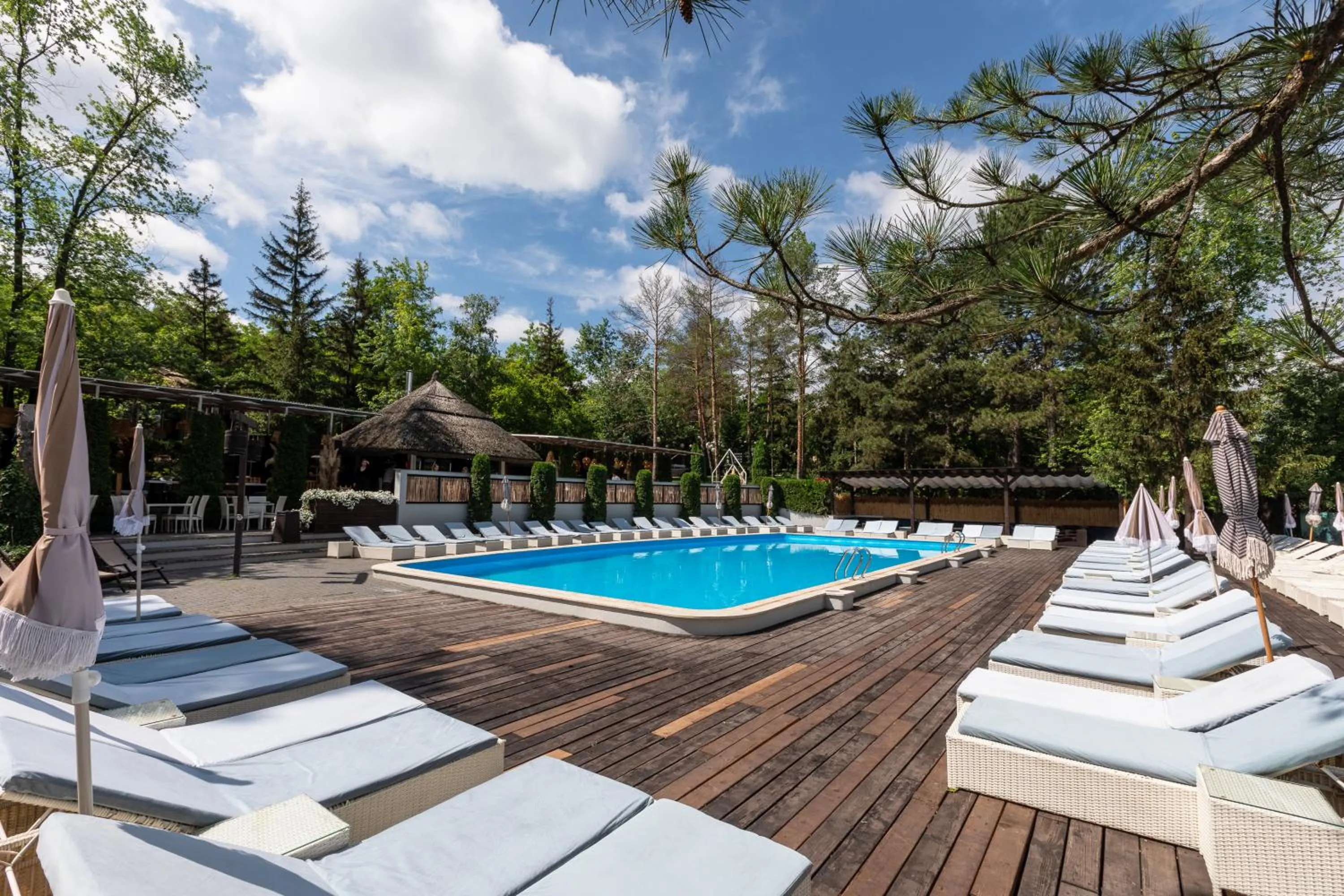 Tree House Relax Park