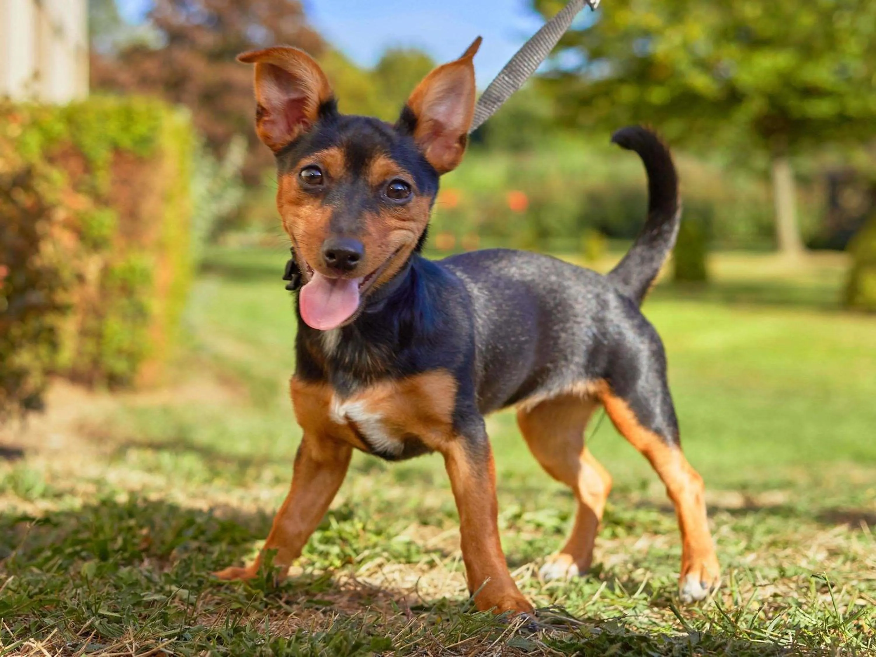 Other in Novotel Antwerpen - Ekeren