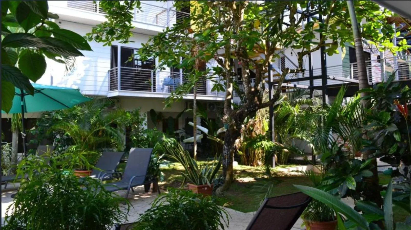 Garden in Wide Mouth Frog Quepos