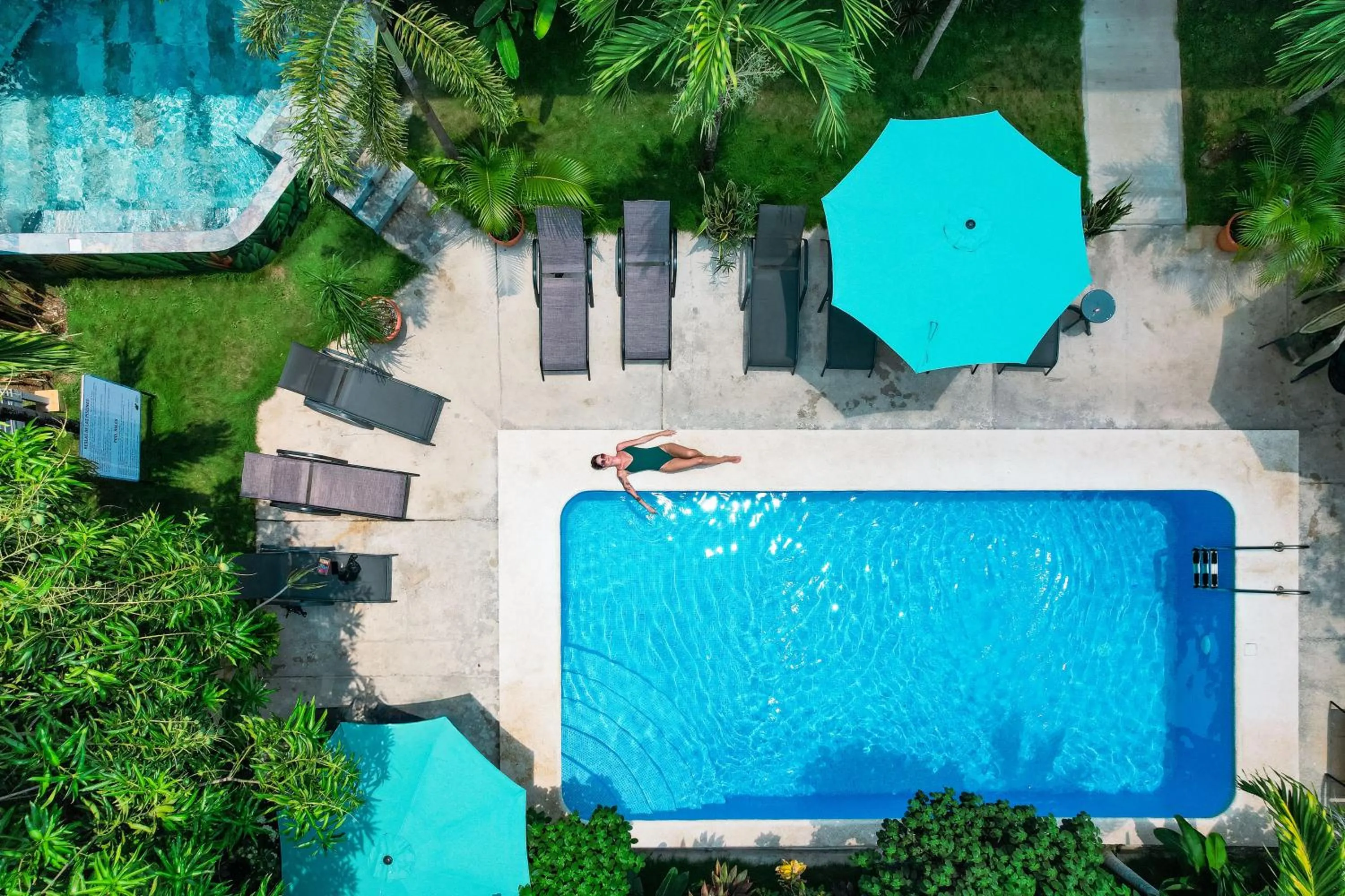 Swimming pool in Wide Mouth Frog Quepos