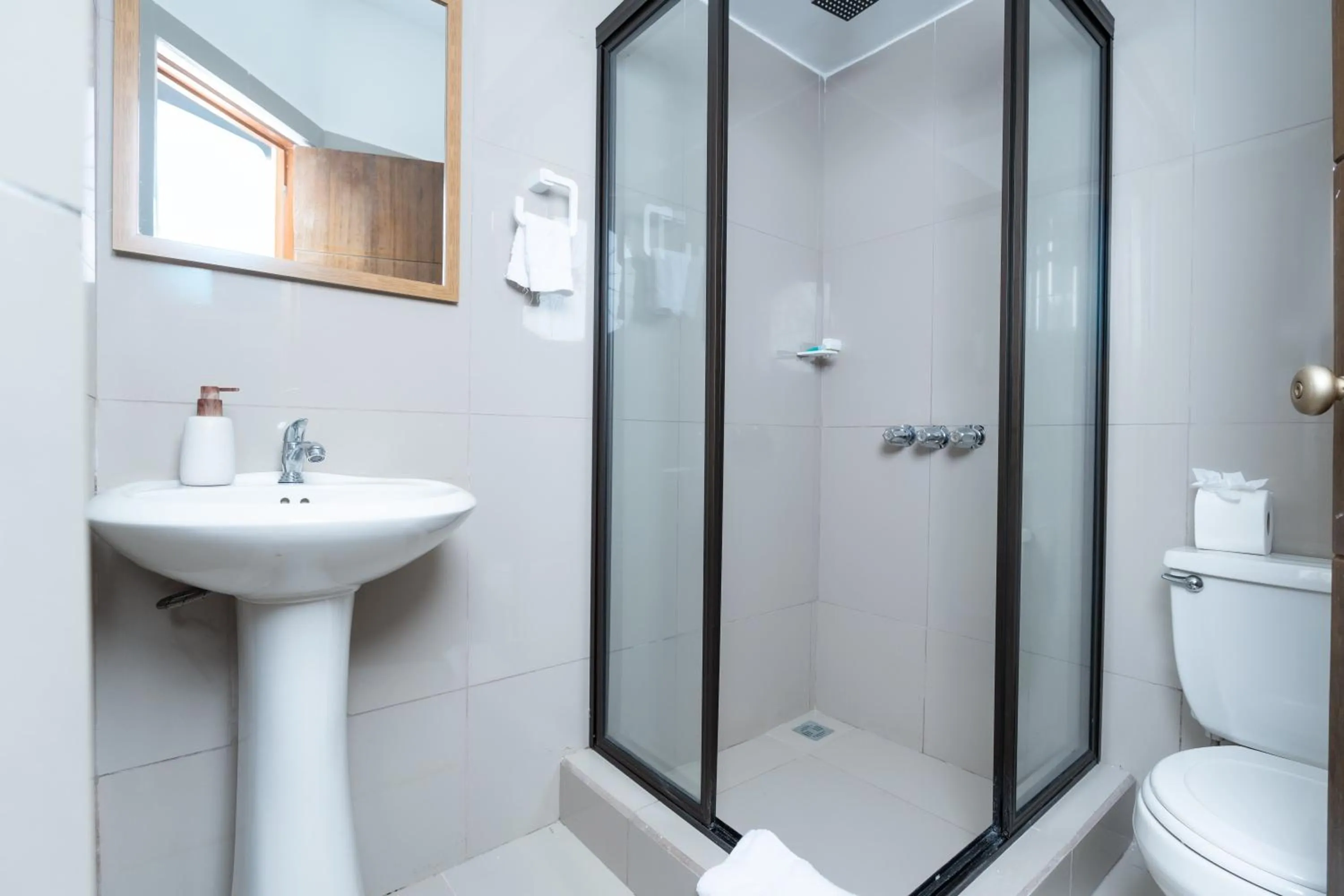 Toilet in Wide Mouth Frog Quepos