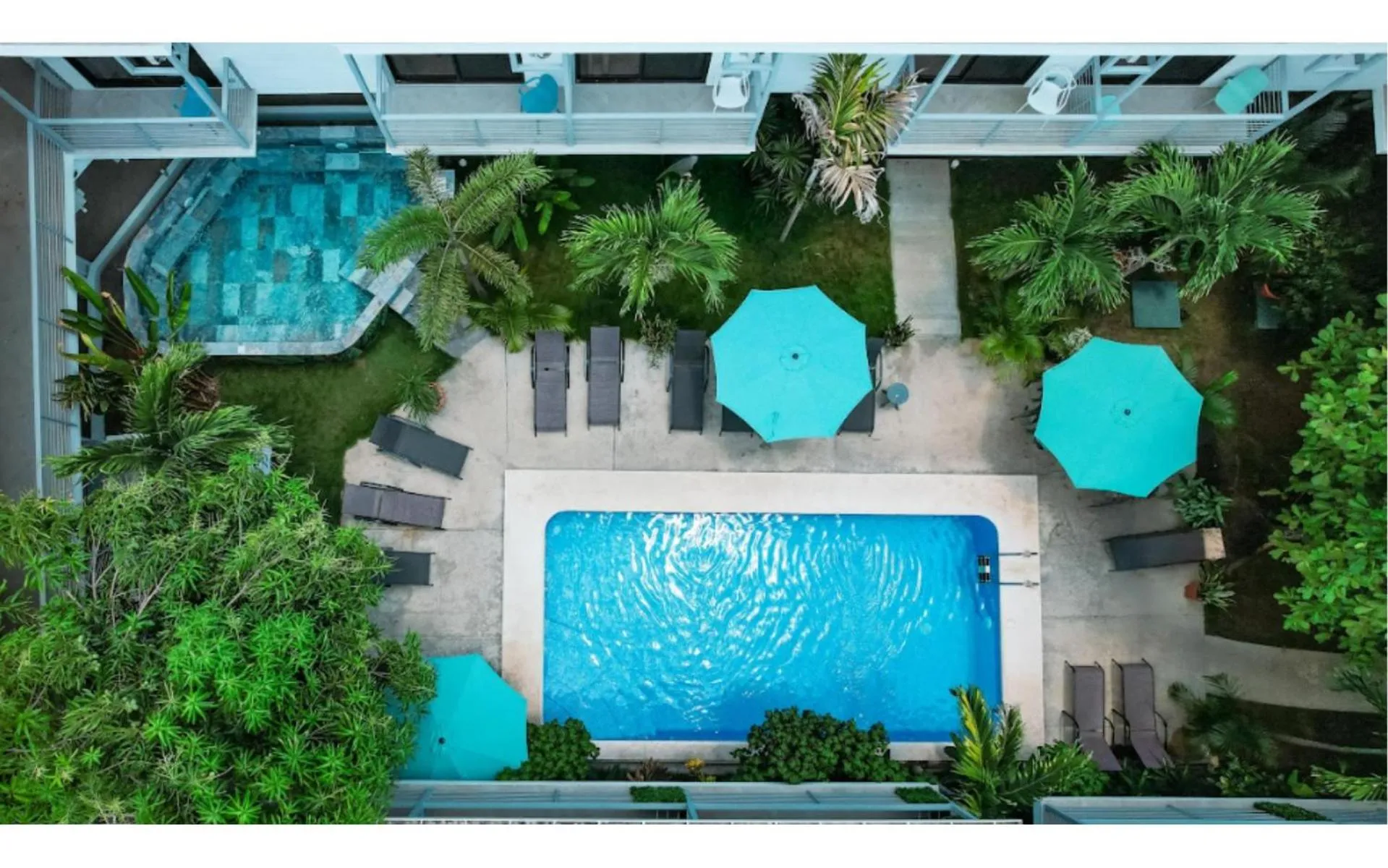 Property building in Wide Mouth Frog Quepos