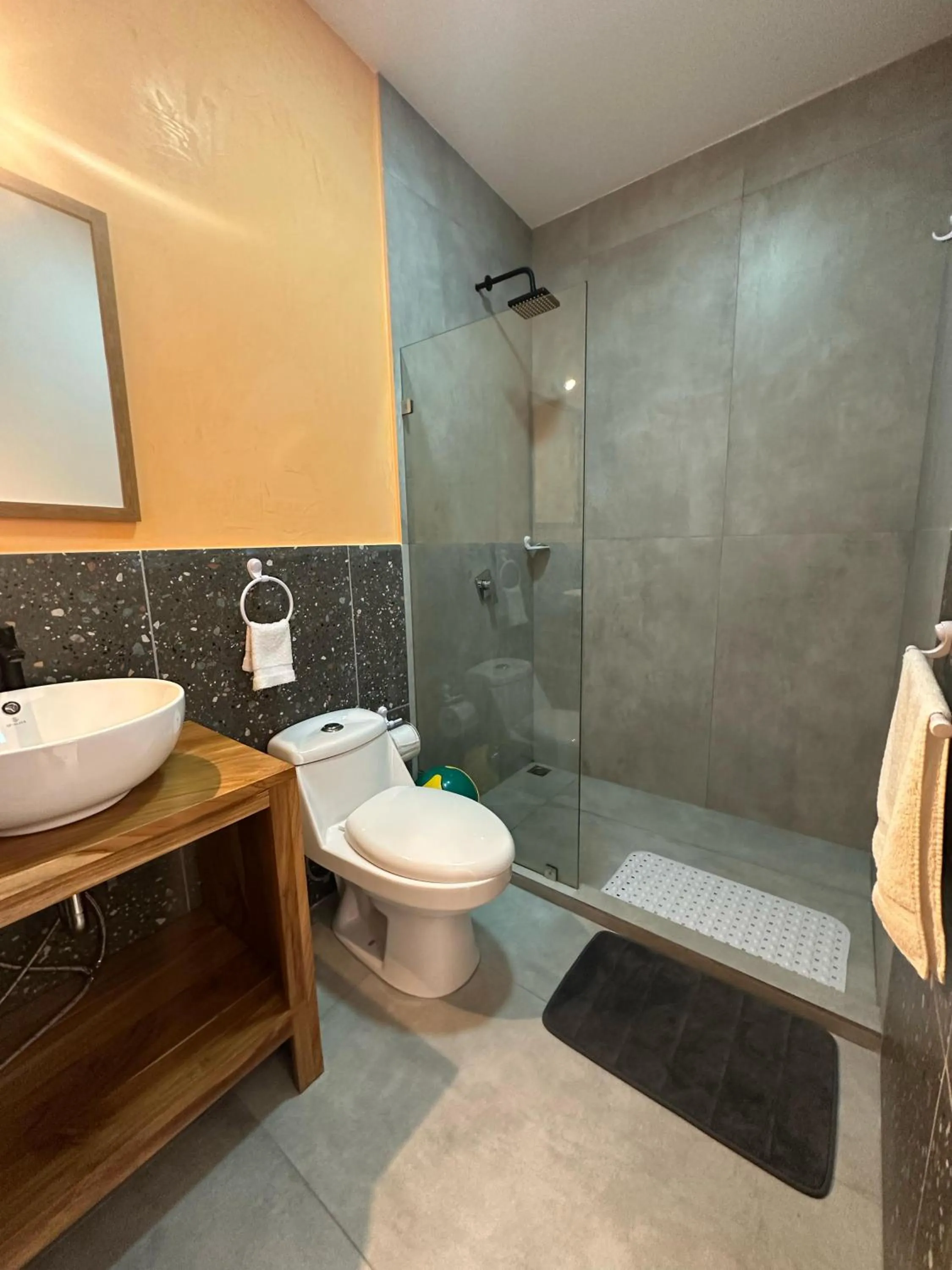 Toilet in Wide Mouth Frog Quepos