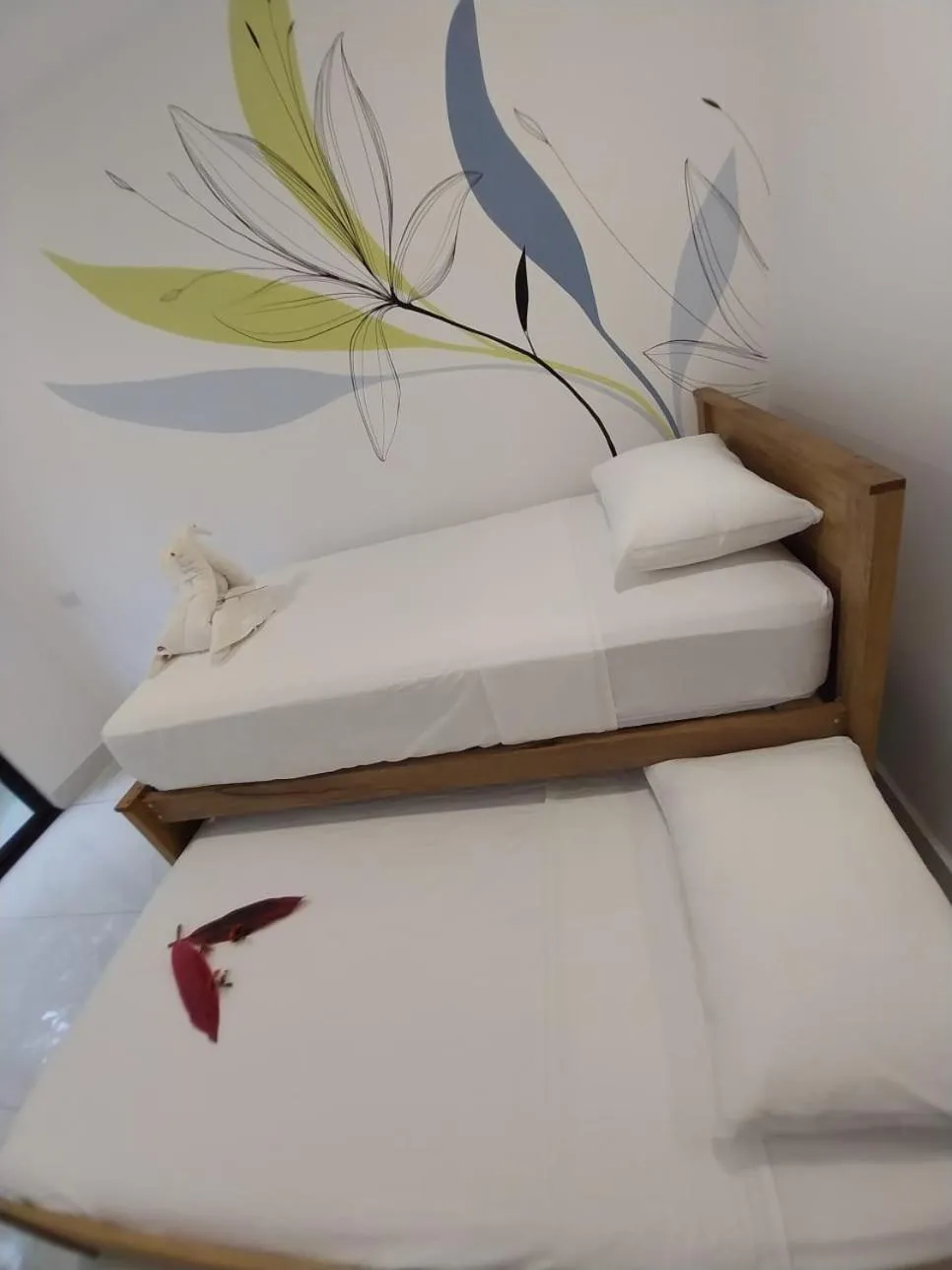 Bed in Wide Mouth Frog Quepos