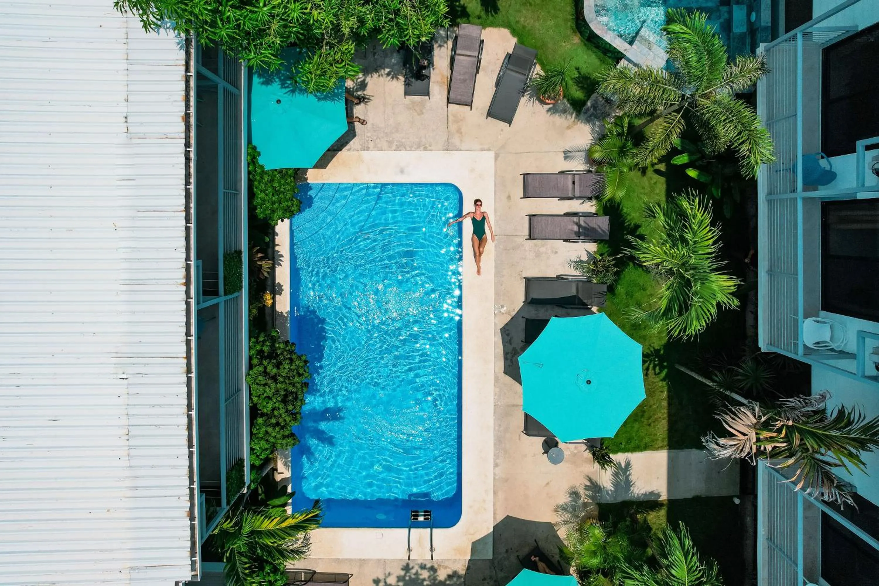 Bird's eye view in Wide Mouth Frog Quepos