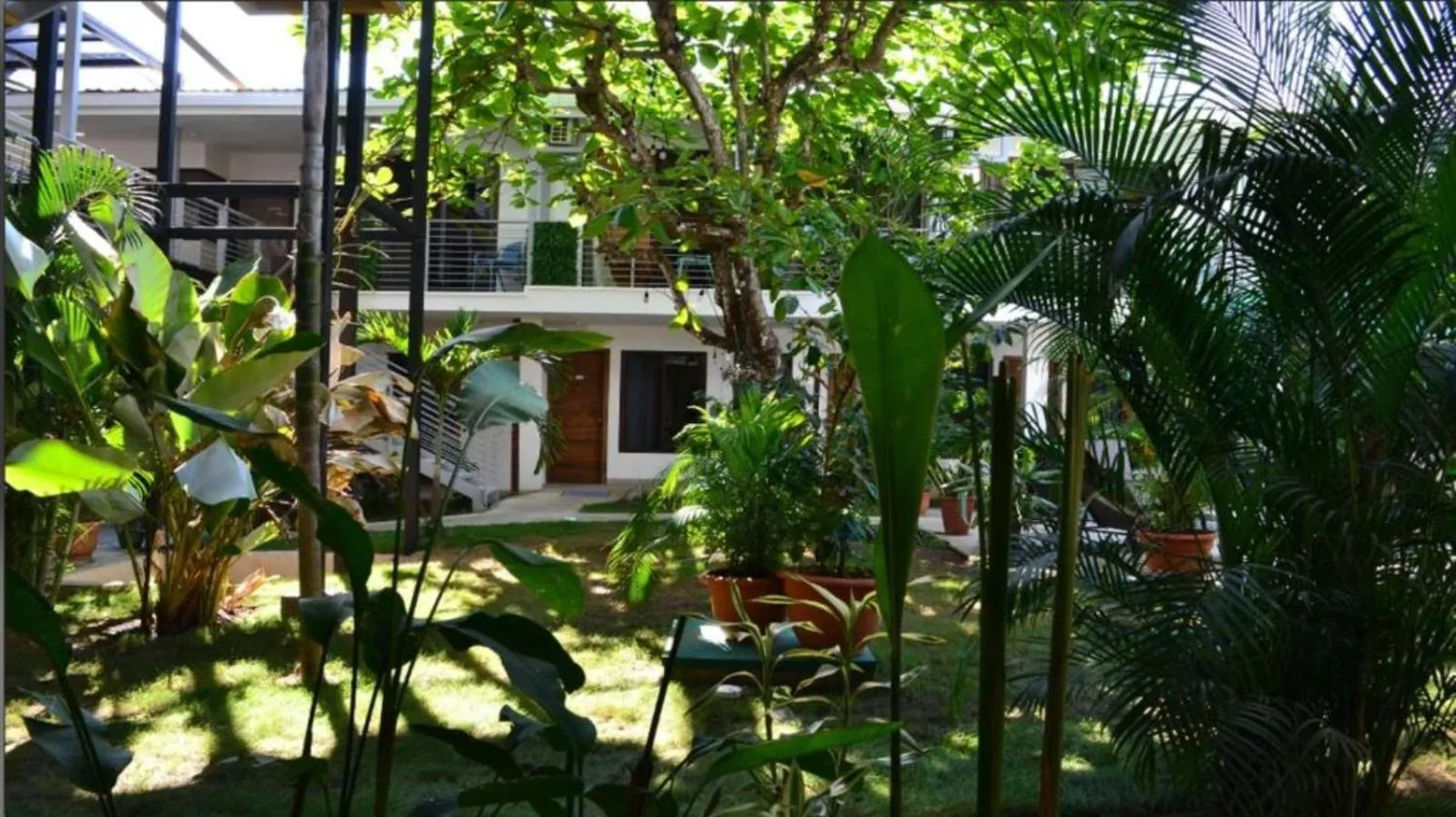 Garden in Wide Mouth Frog Quepos