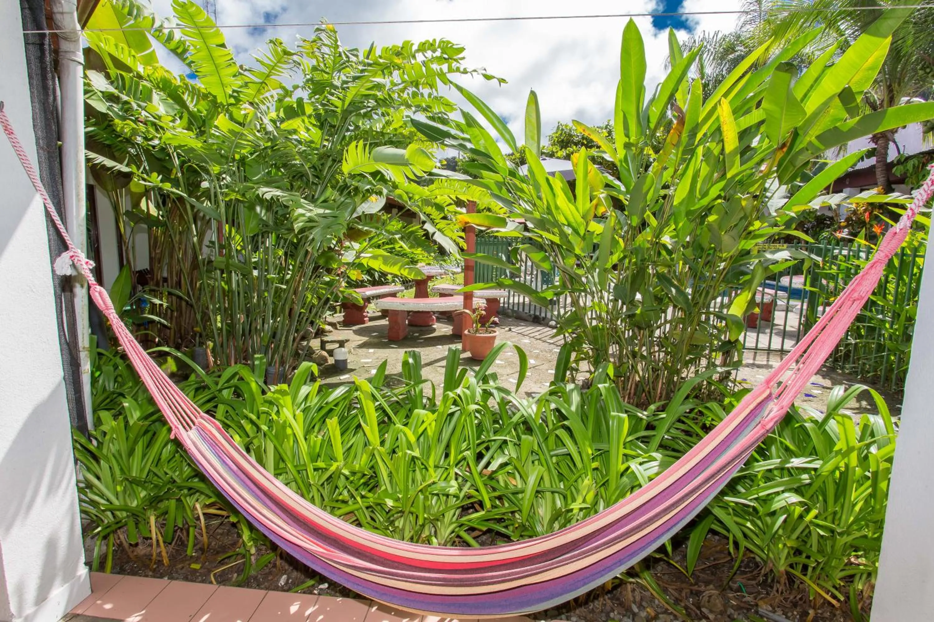 Garden in Wide Mouth Frog Quepos